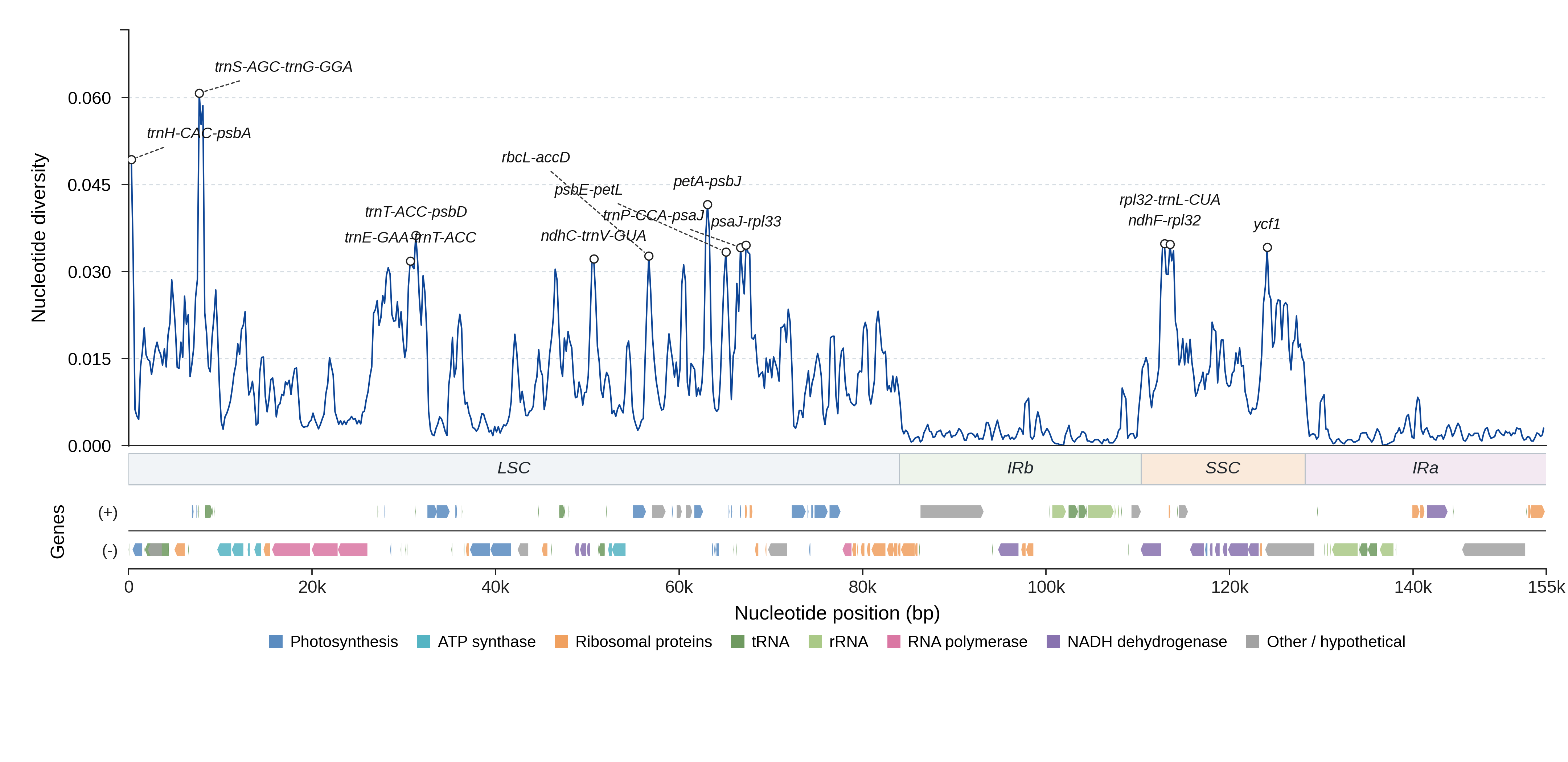 Sliding-window nucleotide diversity