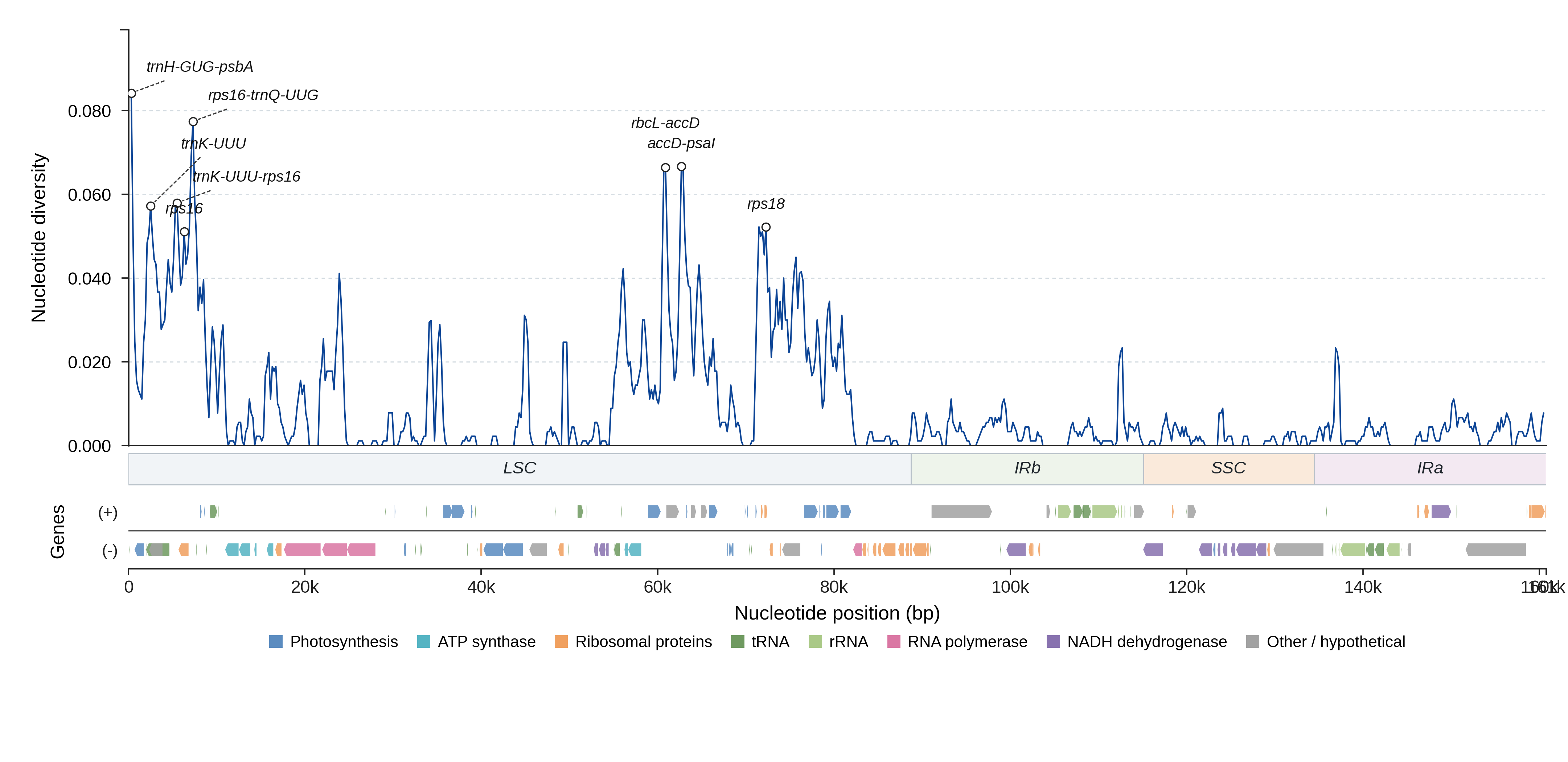 Sliding-window nucleotide diversity