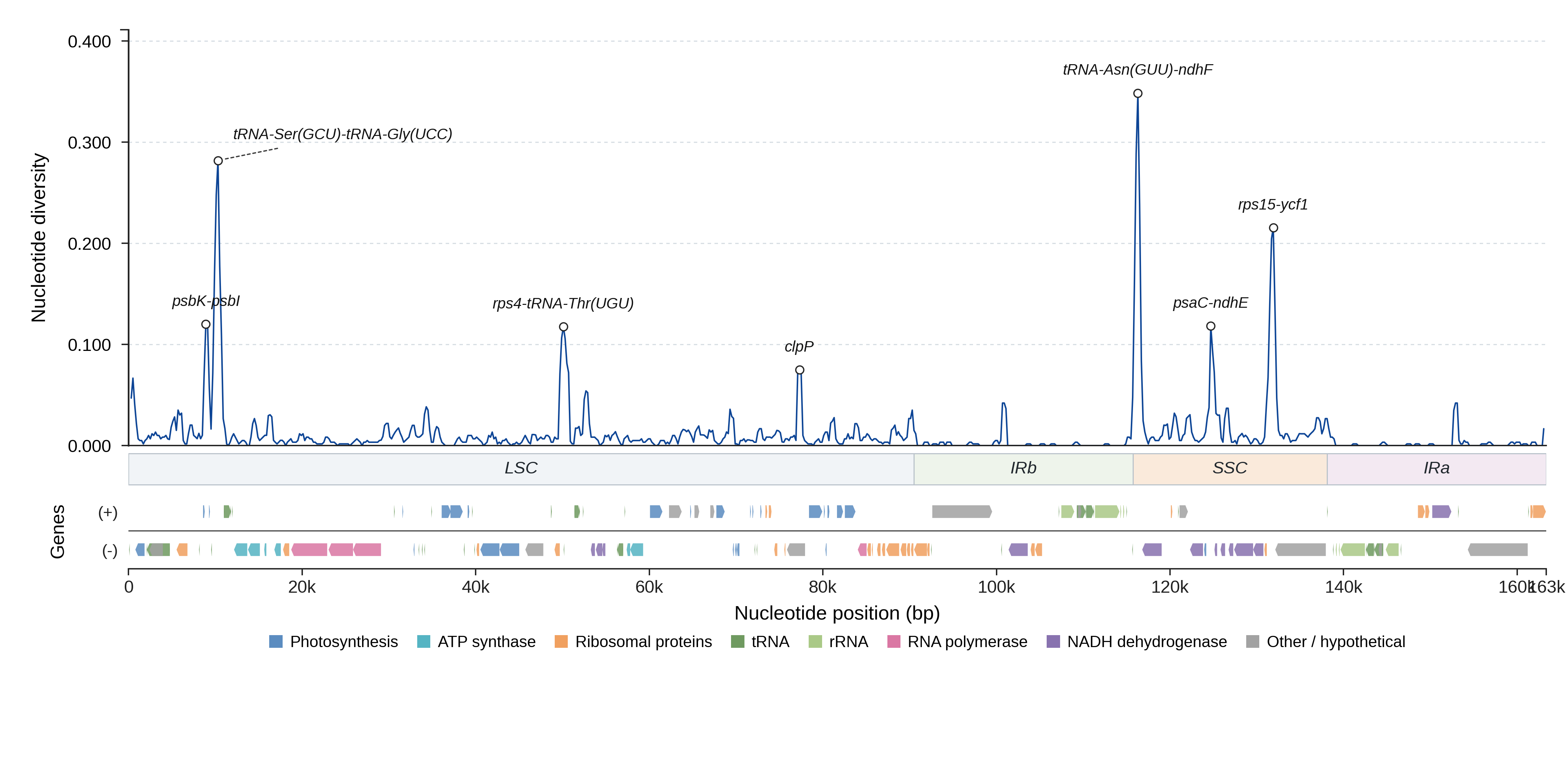 Sliding-window nucleotide diversity