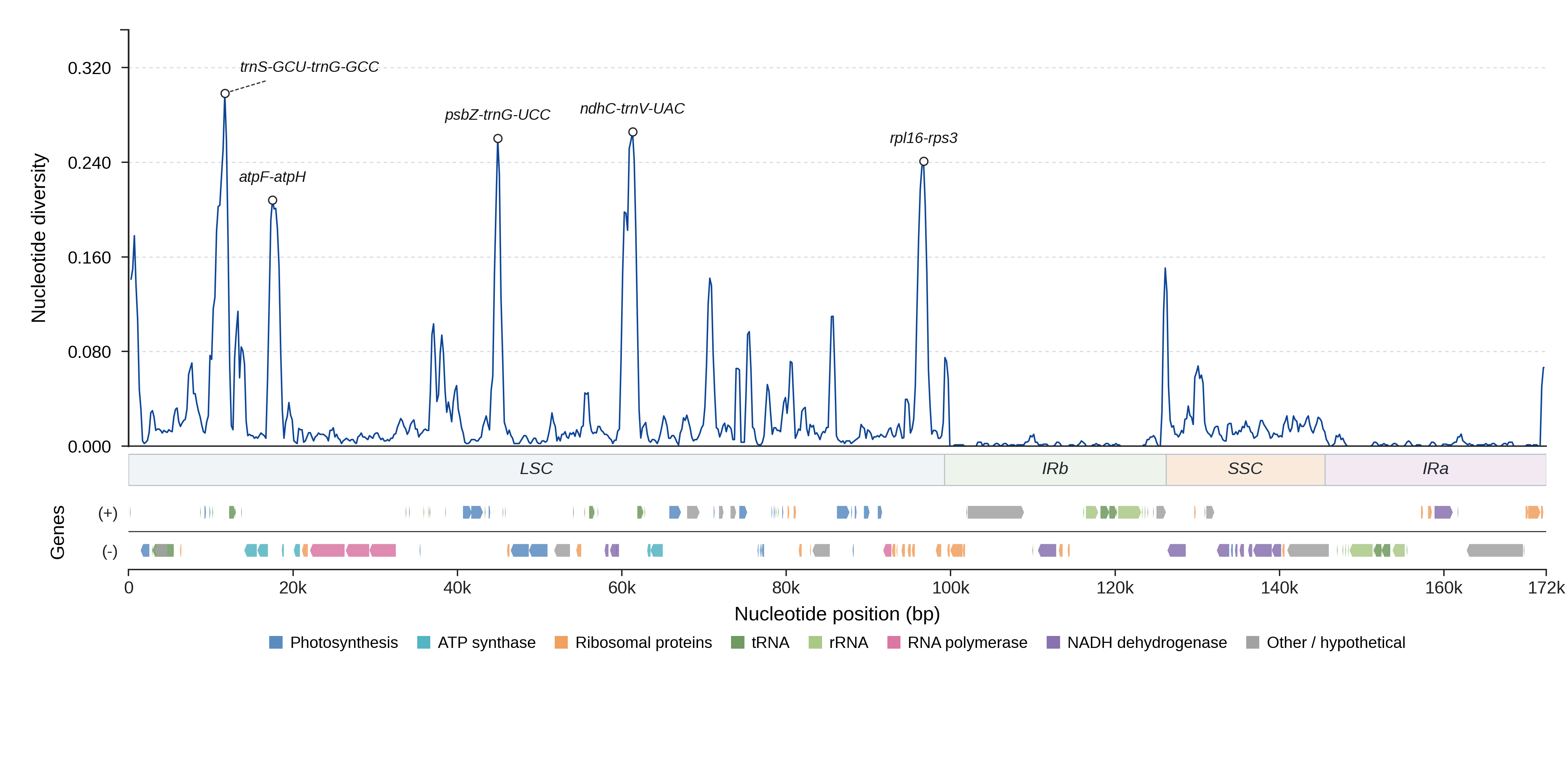 Sliding-window nucleotide diversity