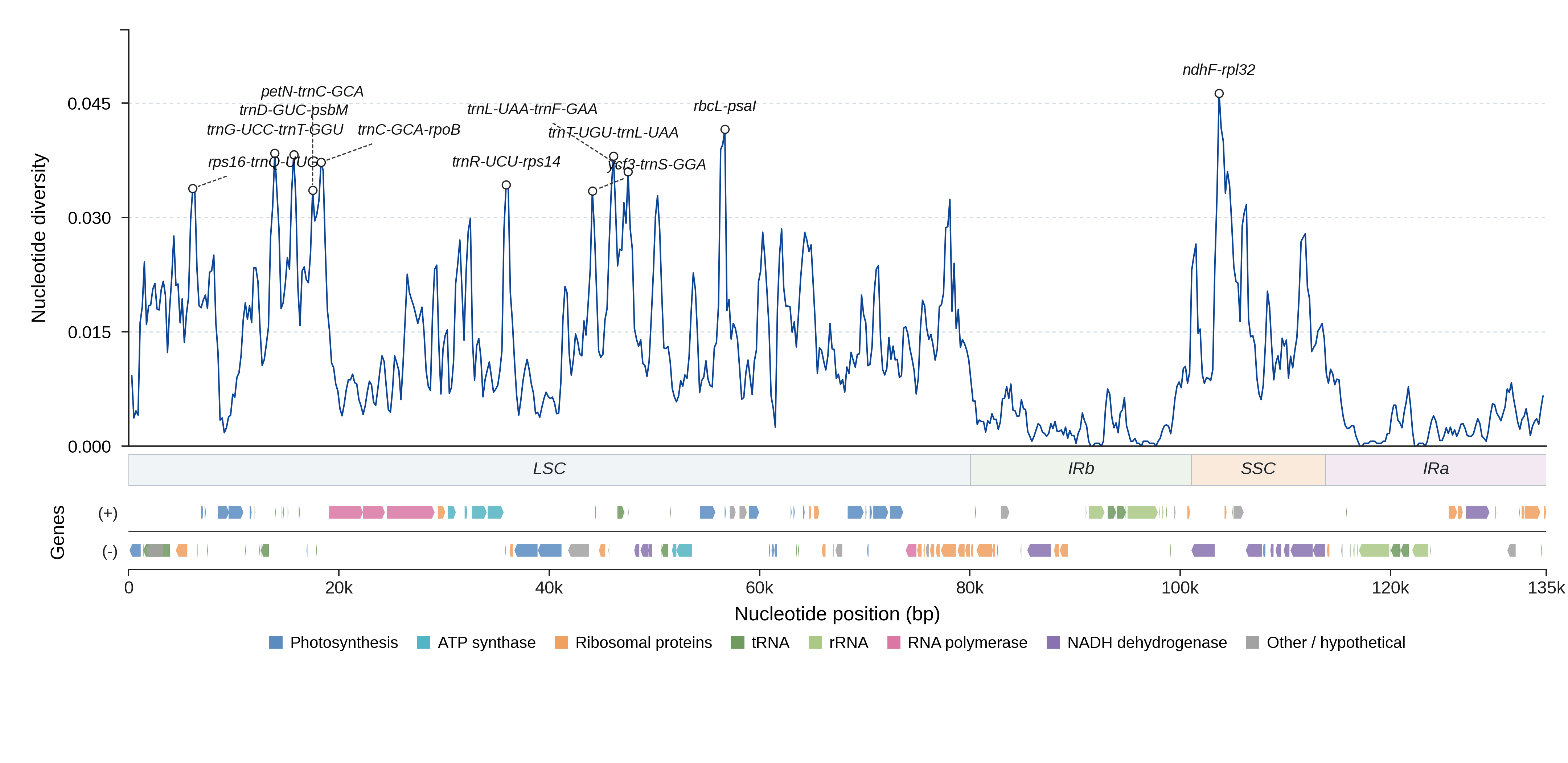 Sliding-window nucleotide diversity