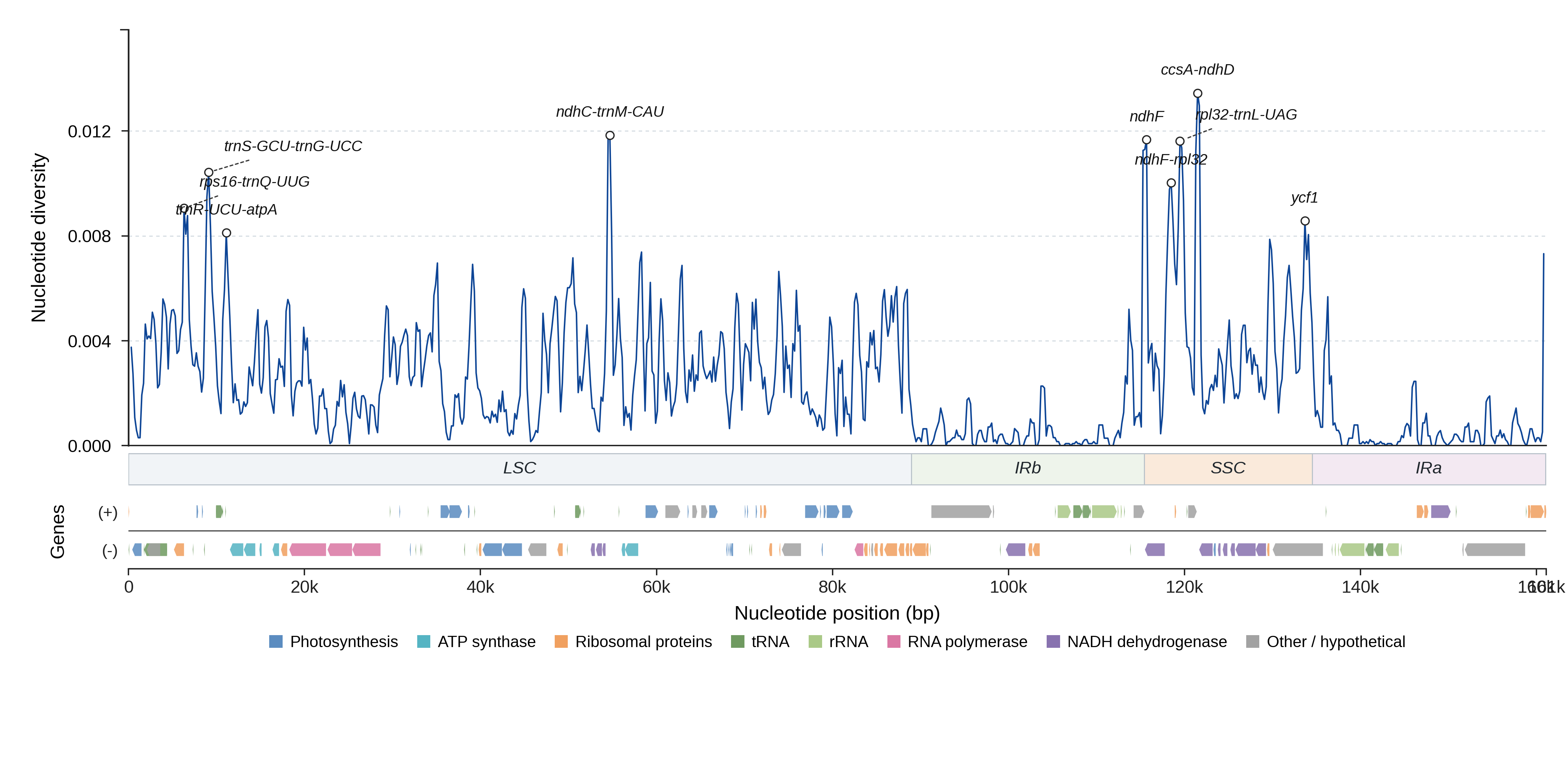 Sliding-window nucleotide diversity