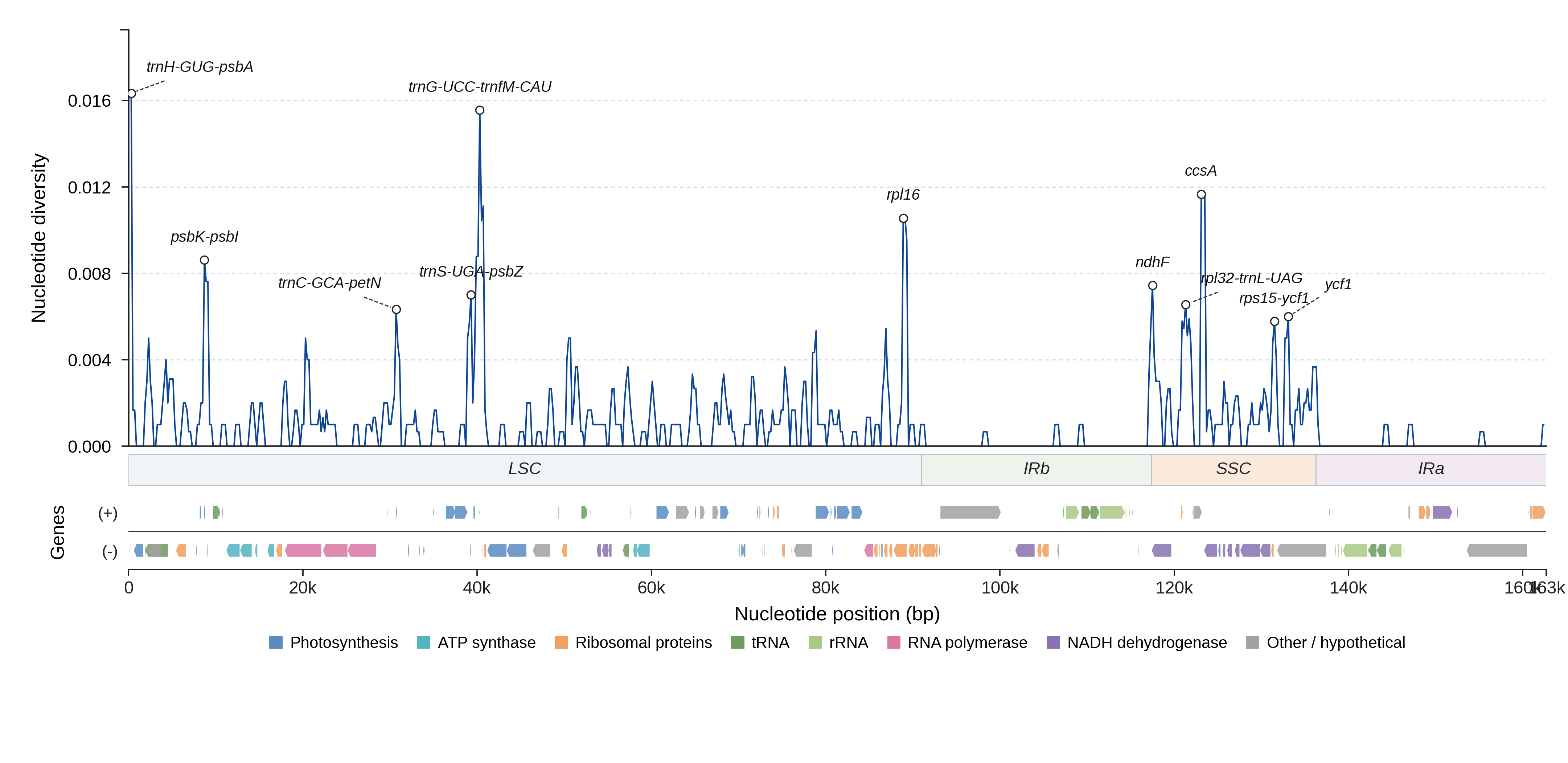 Sliding-window nucleotide diversity