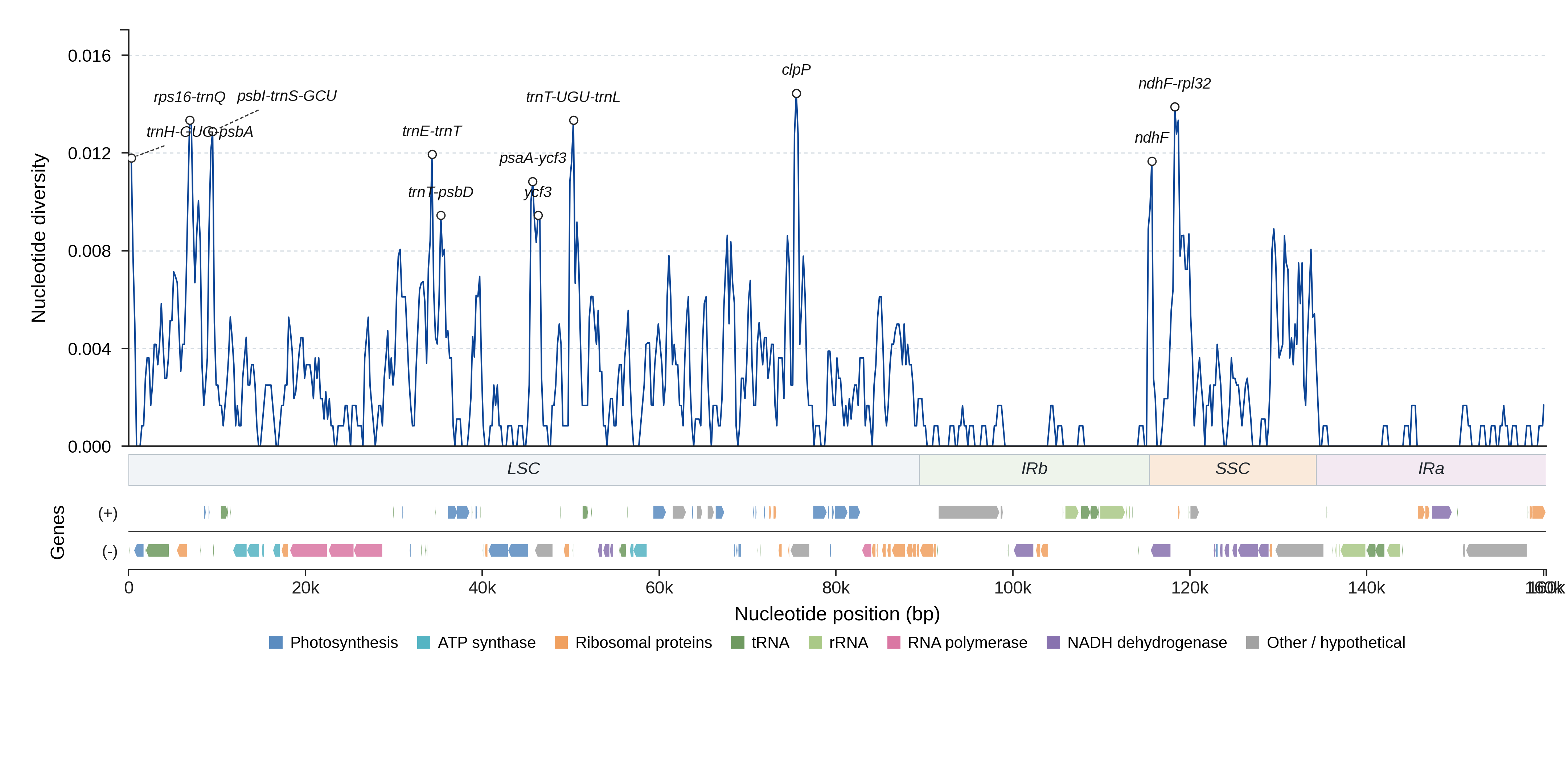 Sliding-window nucleotide diversity