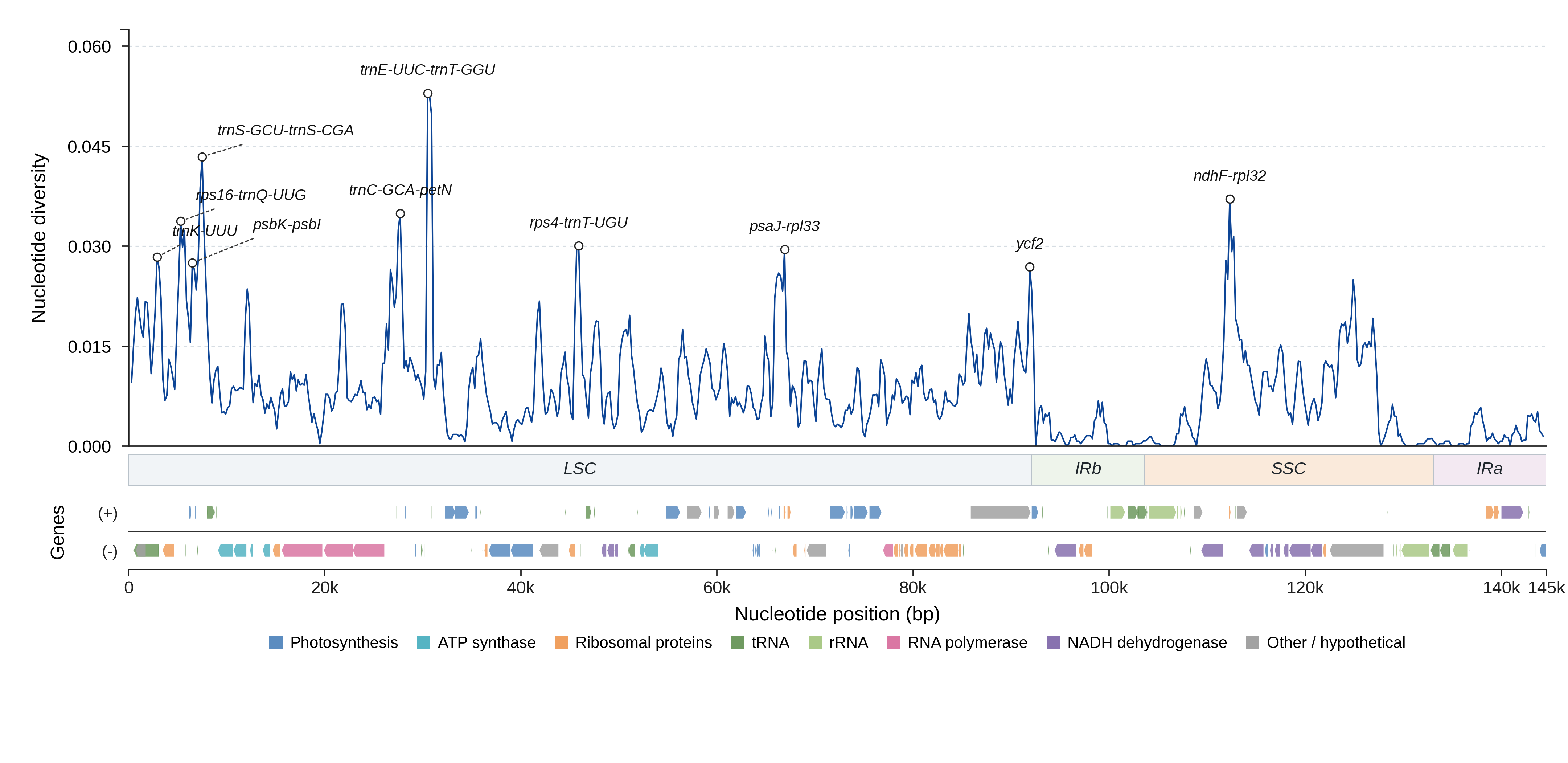 Sliding-window nucleotide diversity