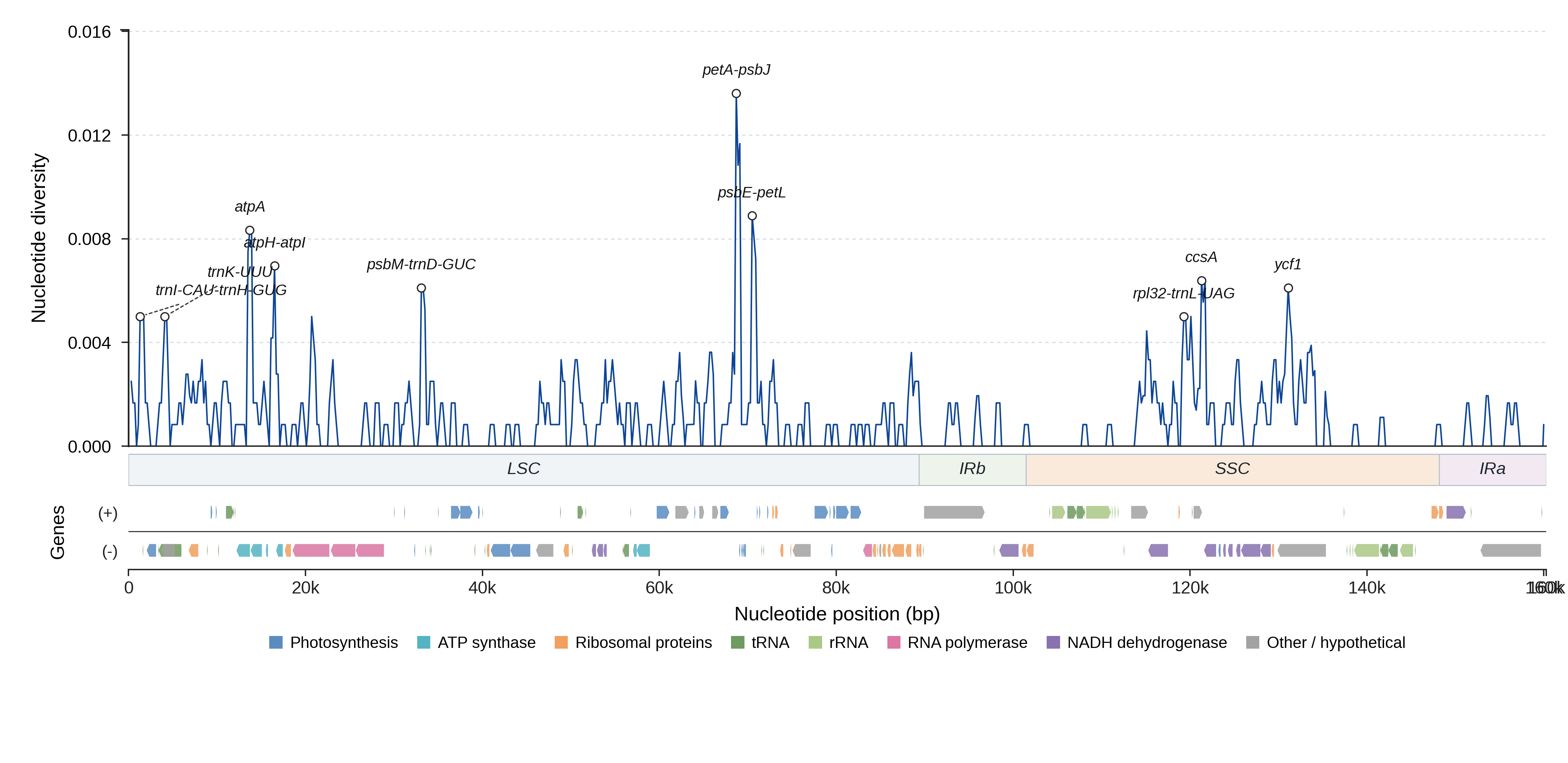 Sliding-window nucleotide diversity