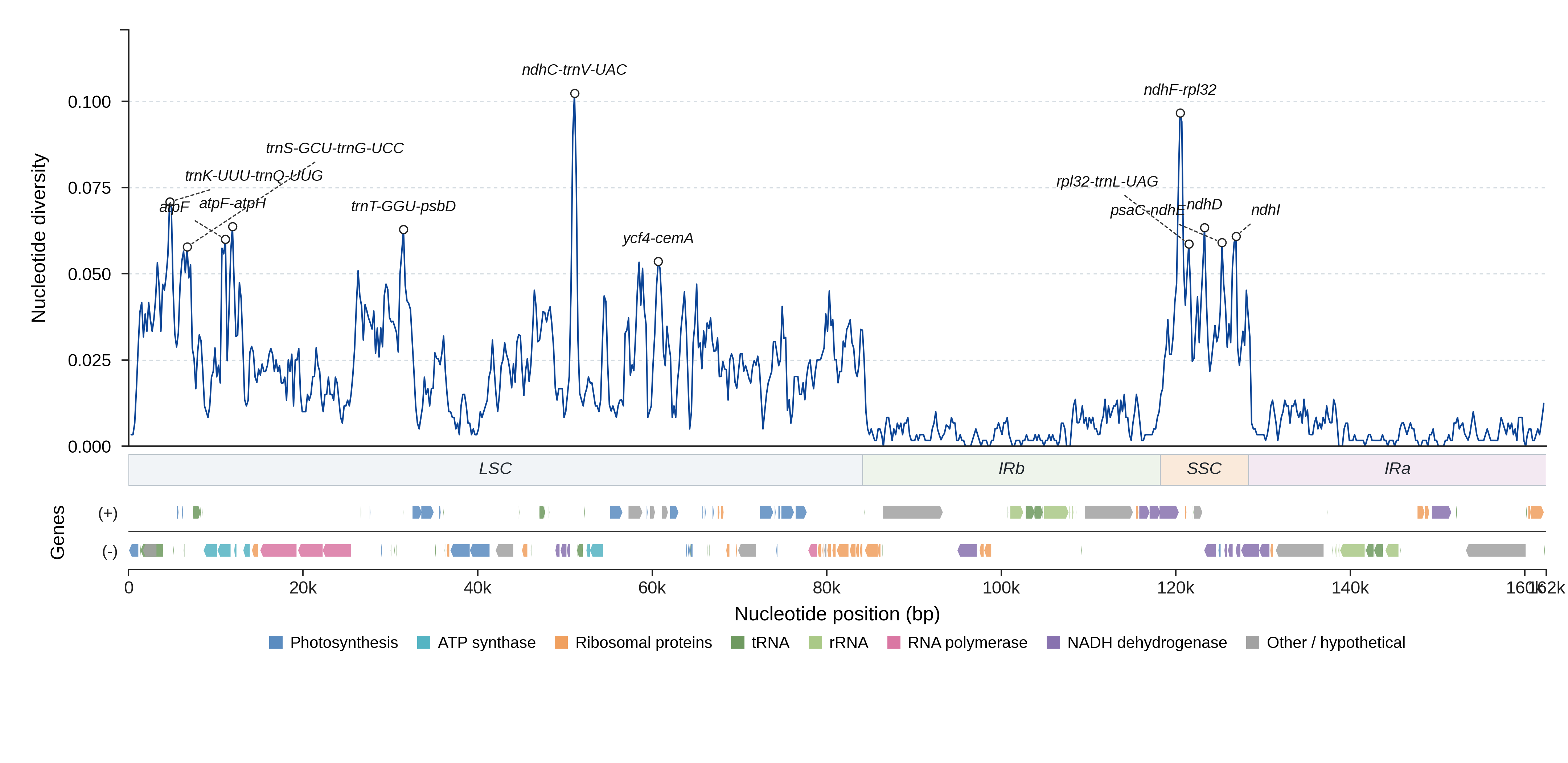 Sliding-window nucleotide diversity