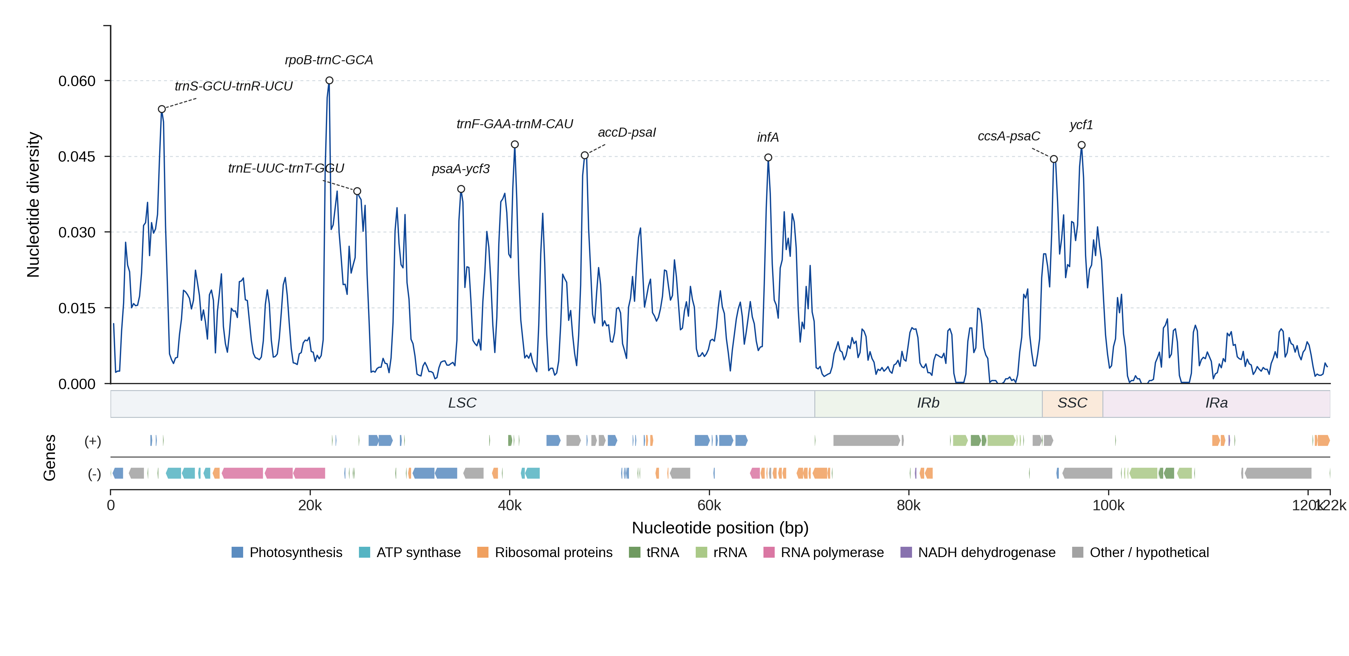 Sliding-window nucleotide diversity