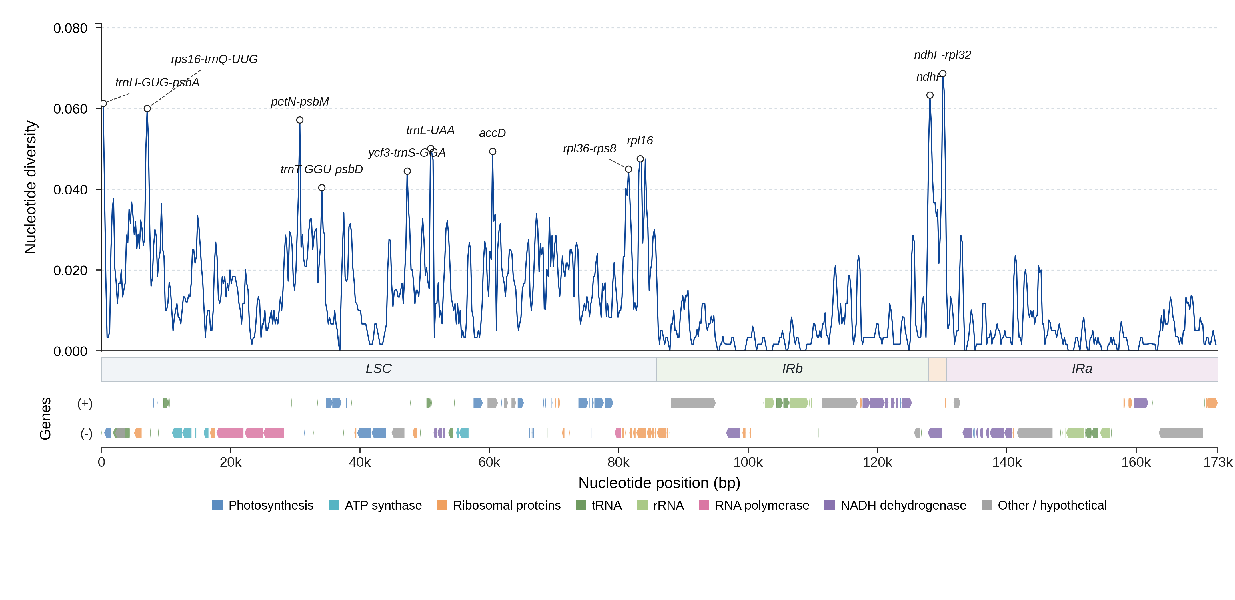 Sliding-window nucleotide diversity