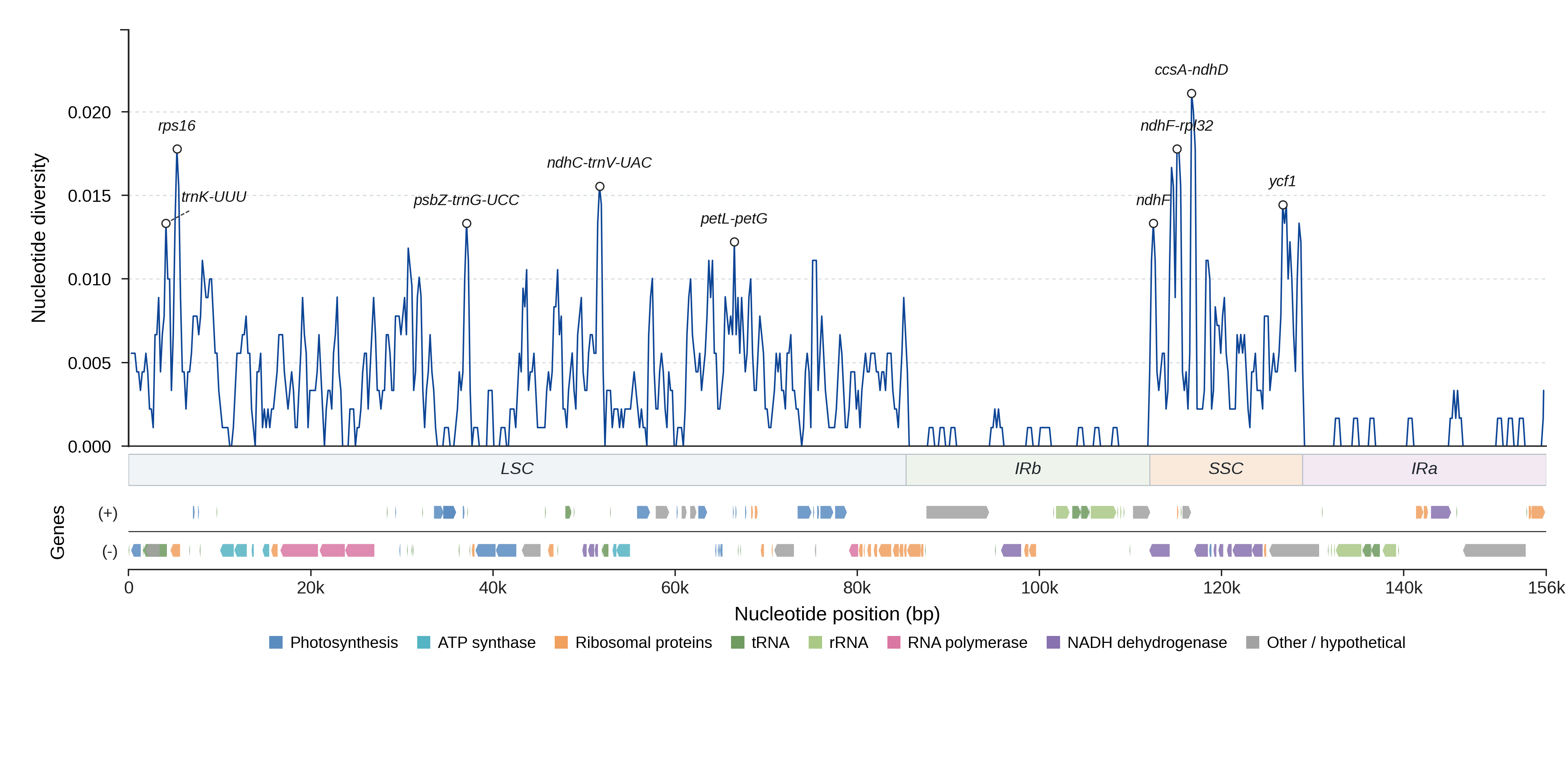 Sliding-window nucleotide diversity