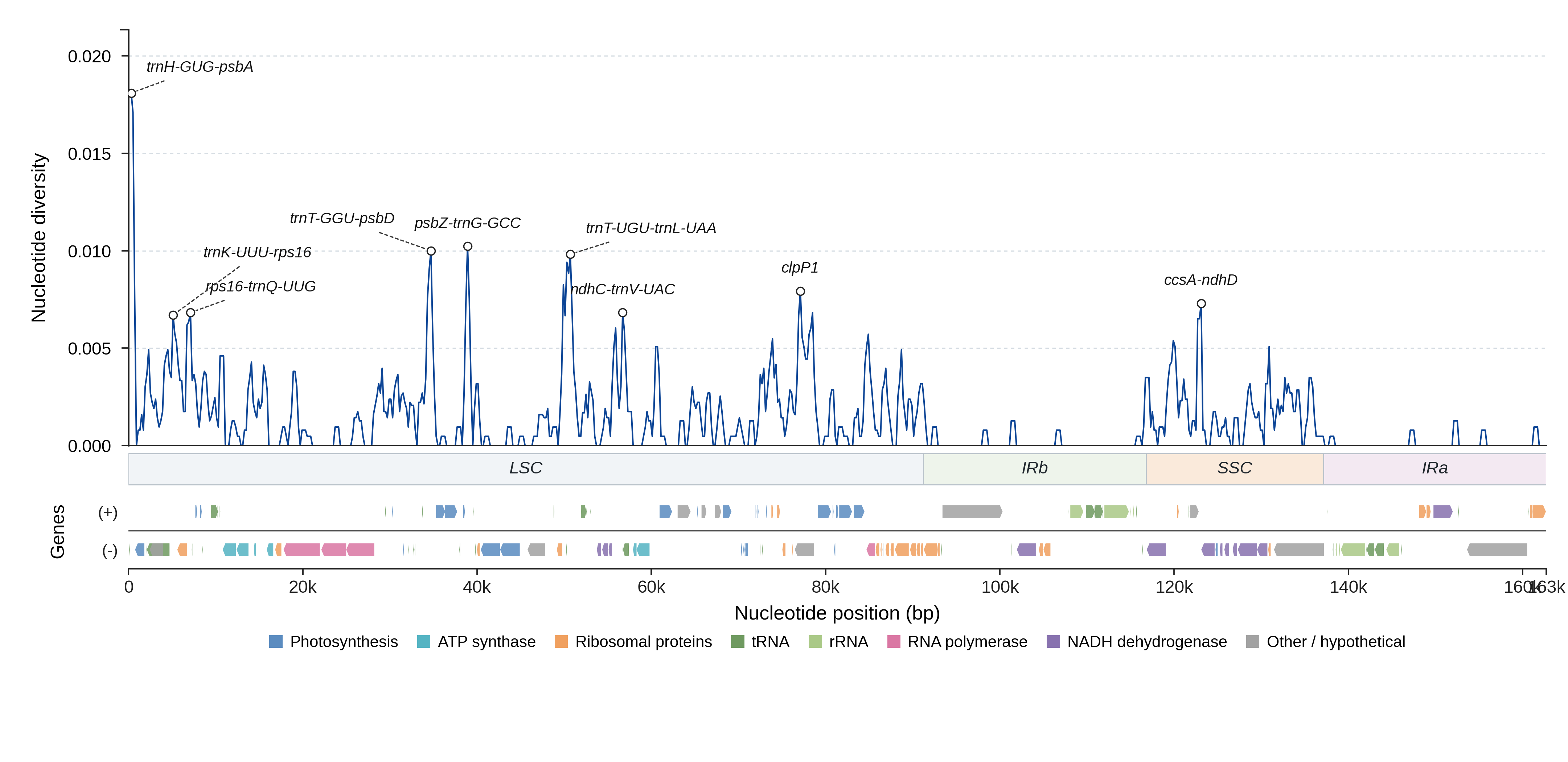 Sliding-window nucleotide diversity