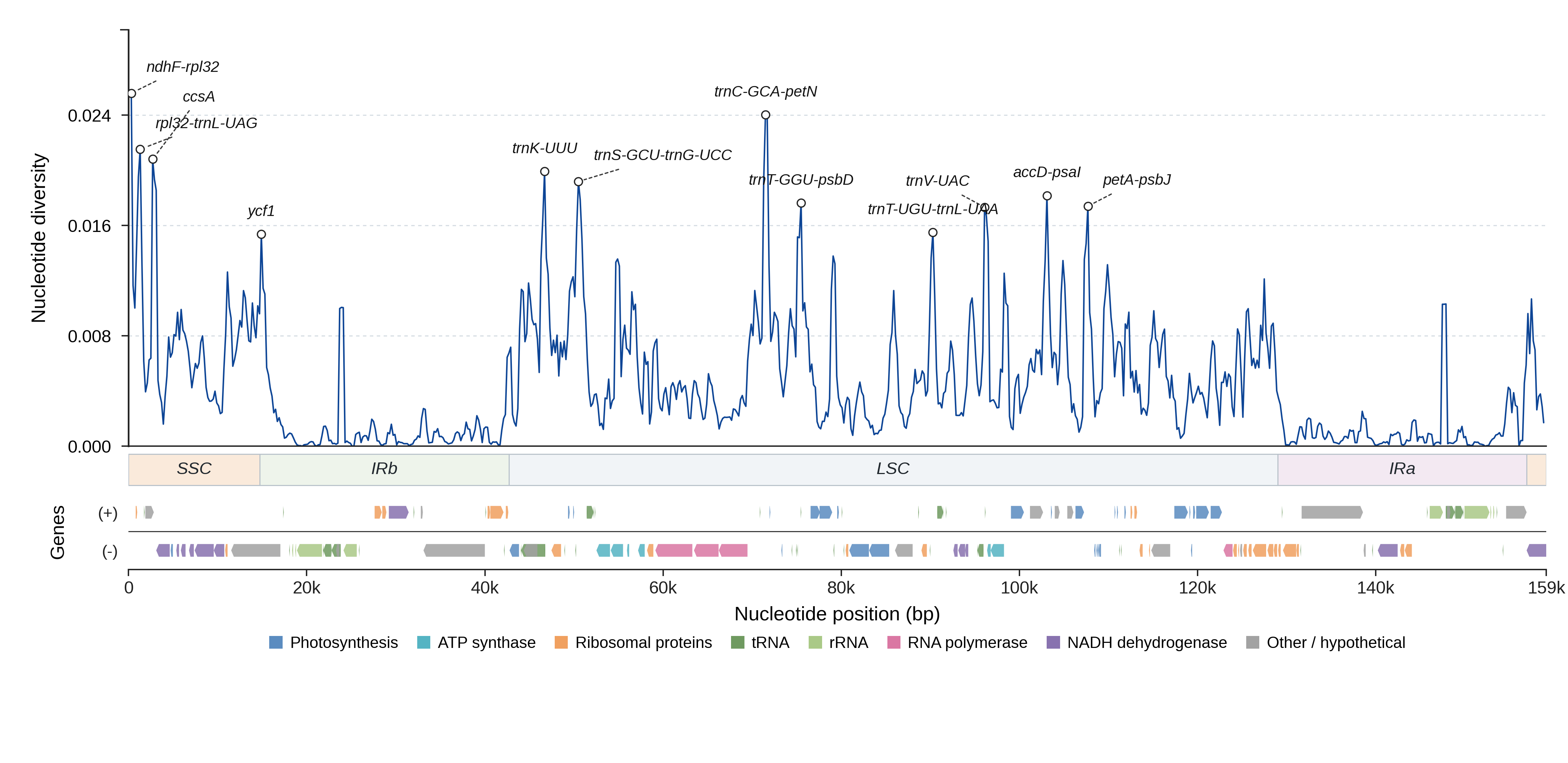 Sliding-window nucleotide diversity
