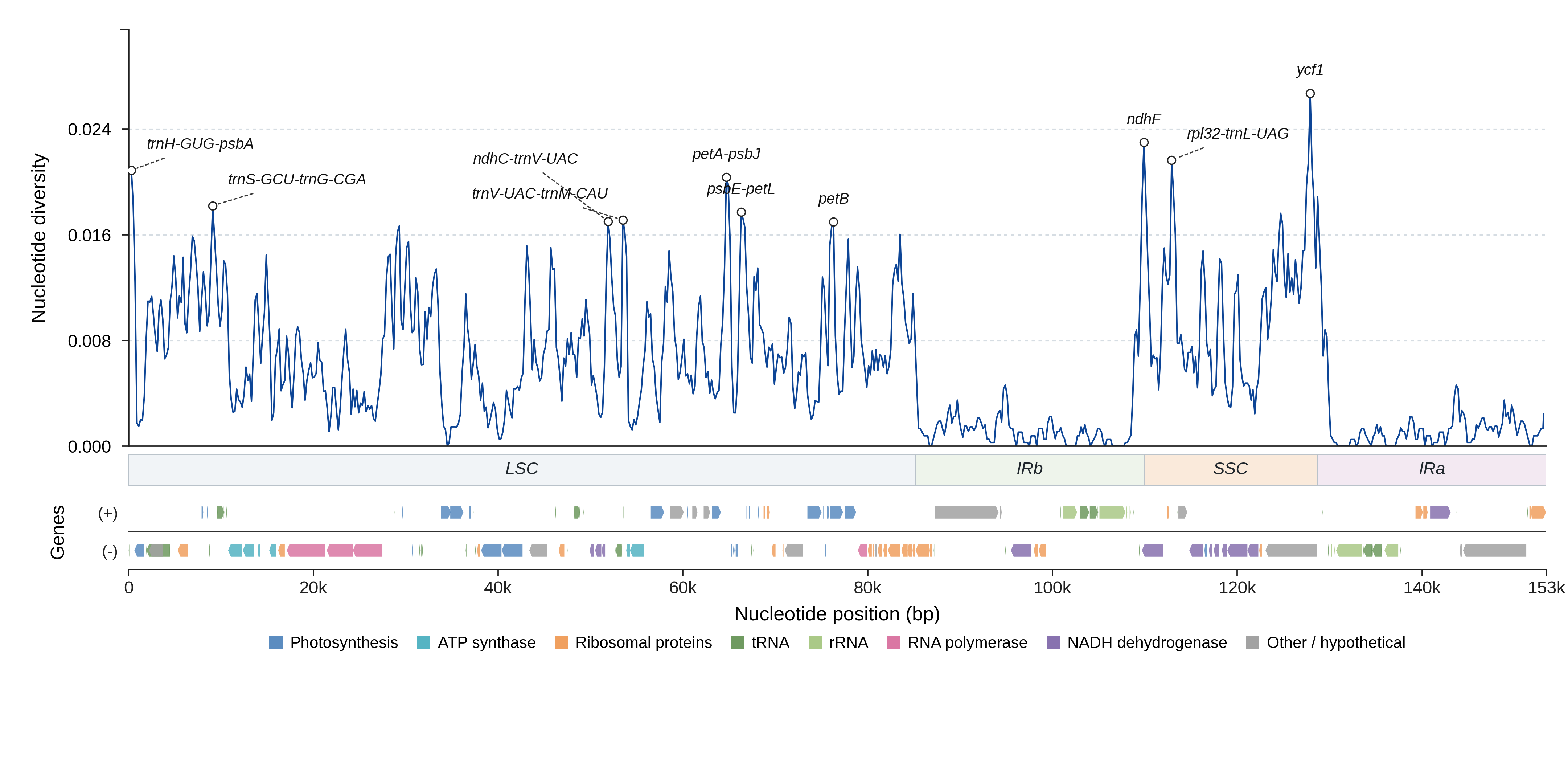 Sliding-window nucleotide diversity