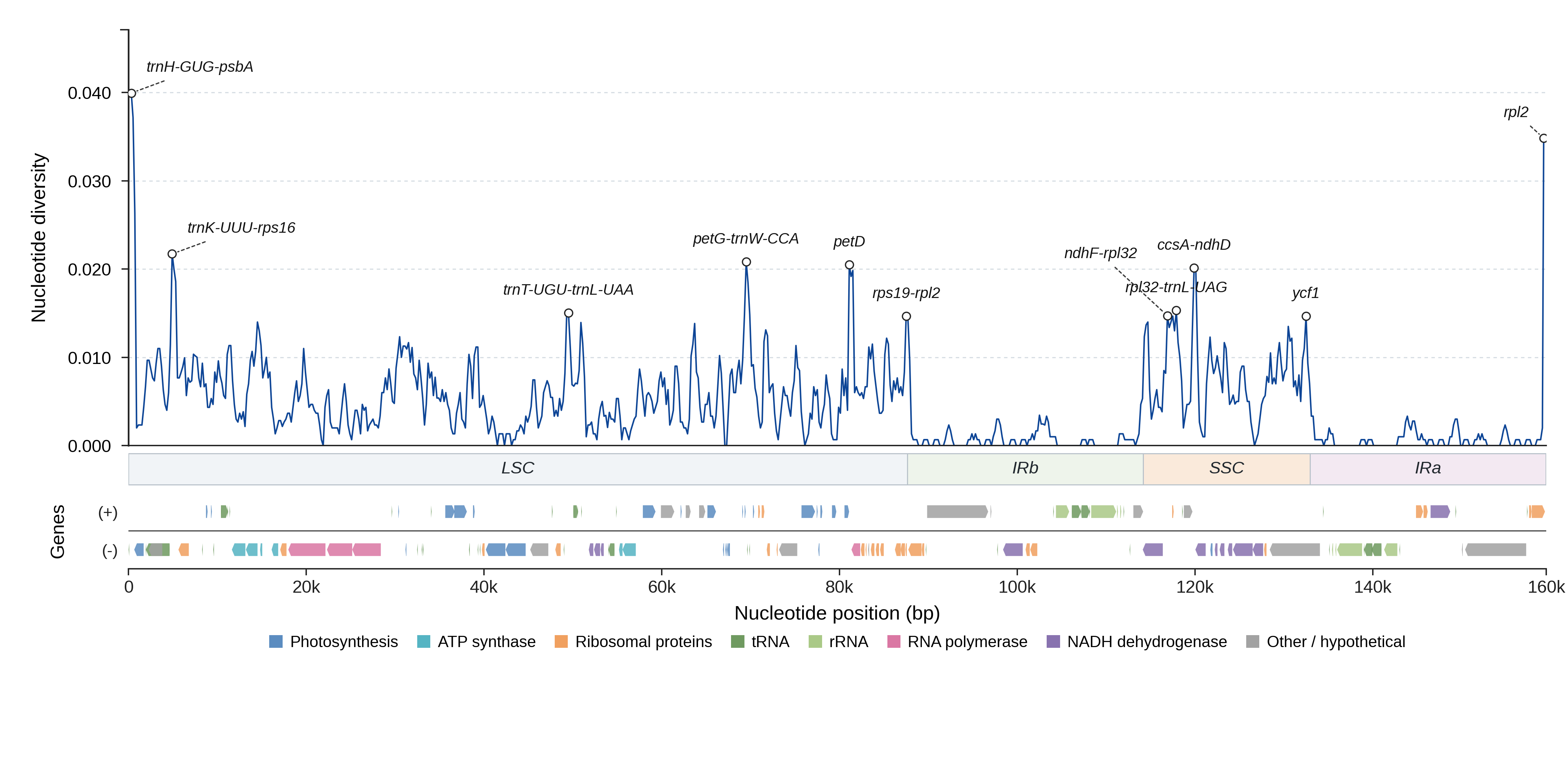 Sliding-window nucleotide diversity