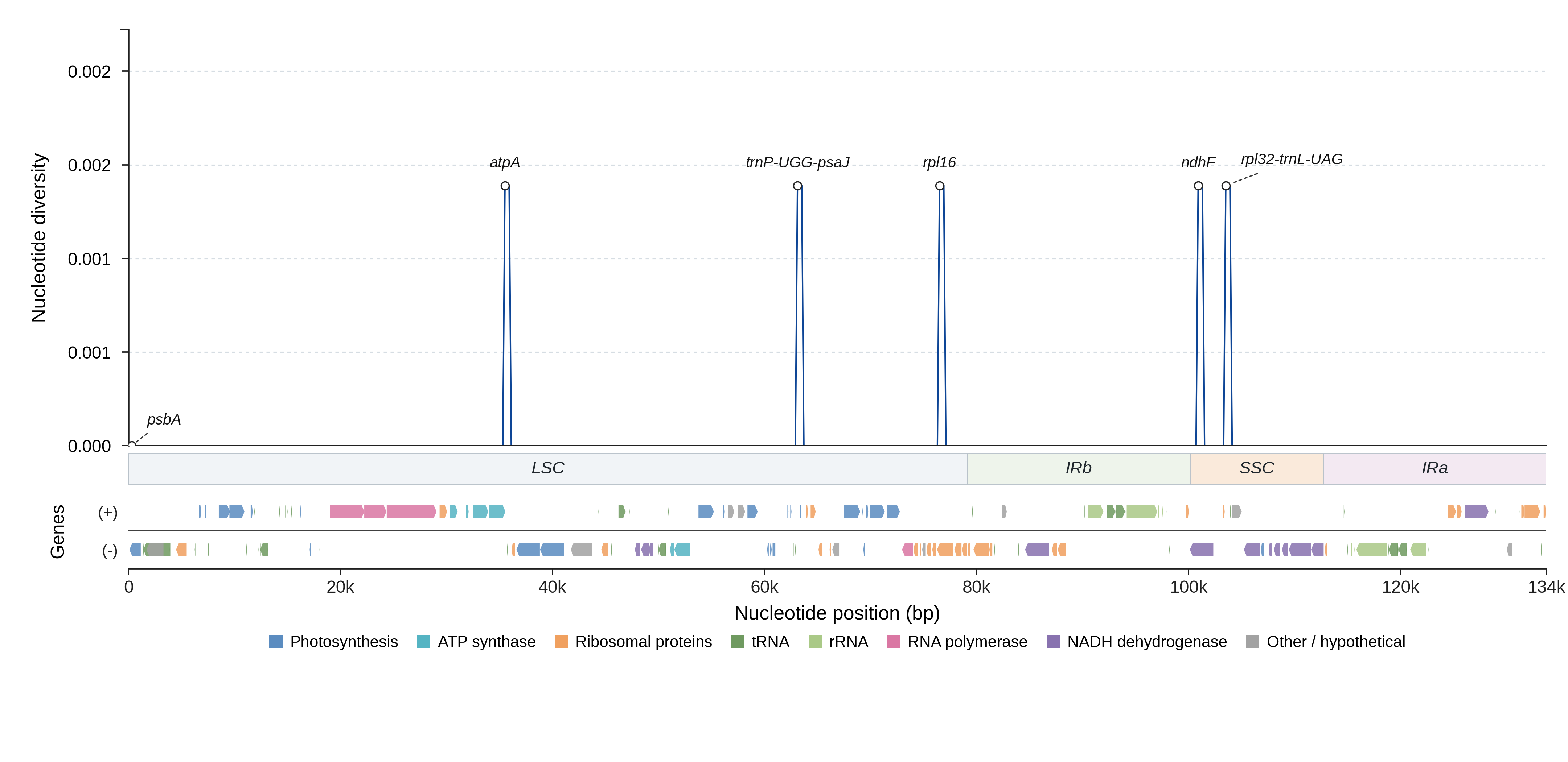 Sliding-window nucleotide diversity