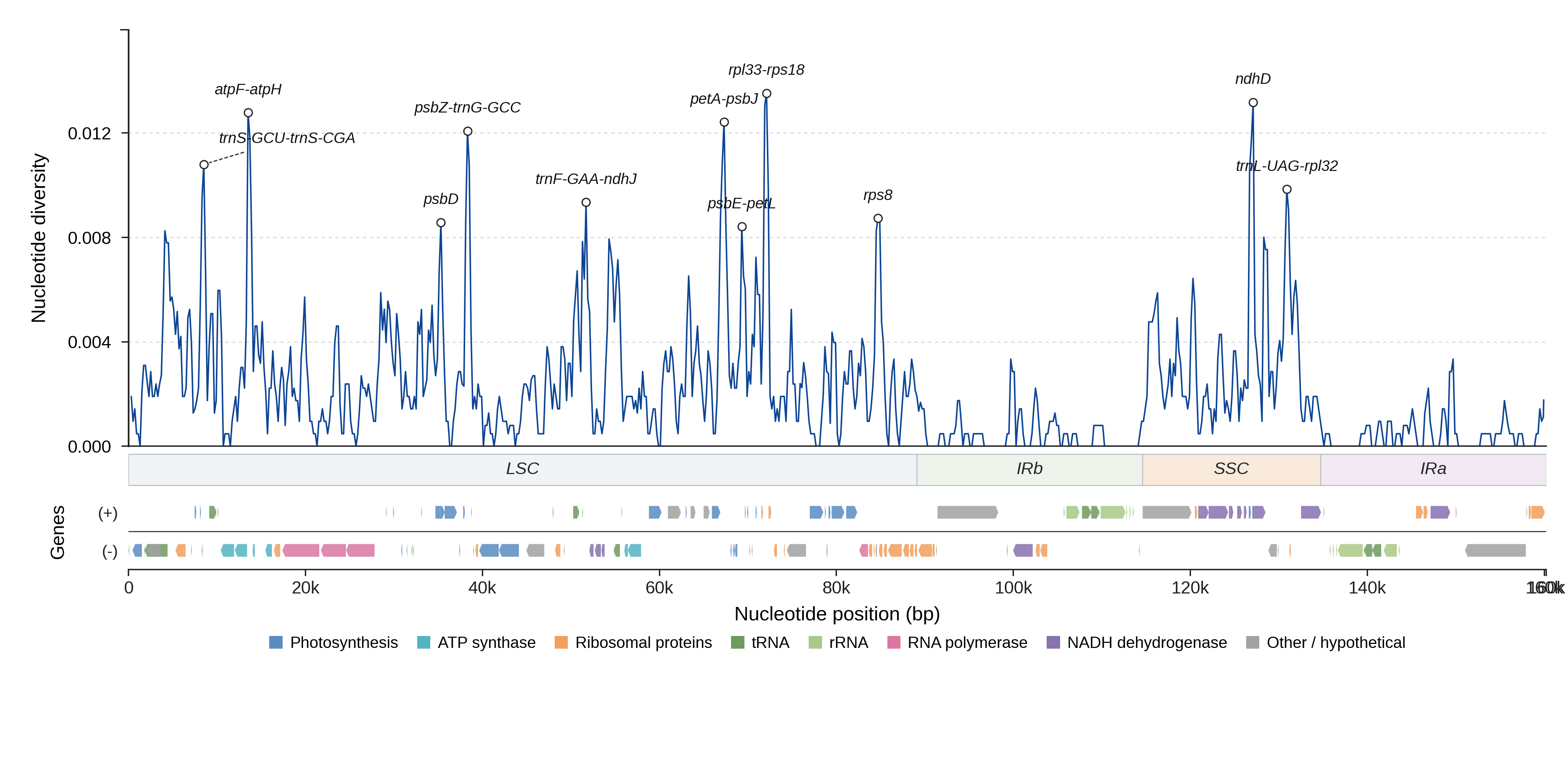 Sliding-window nucleotide diversity
