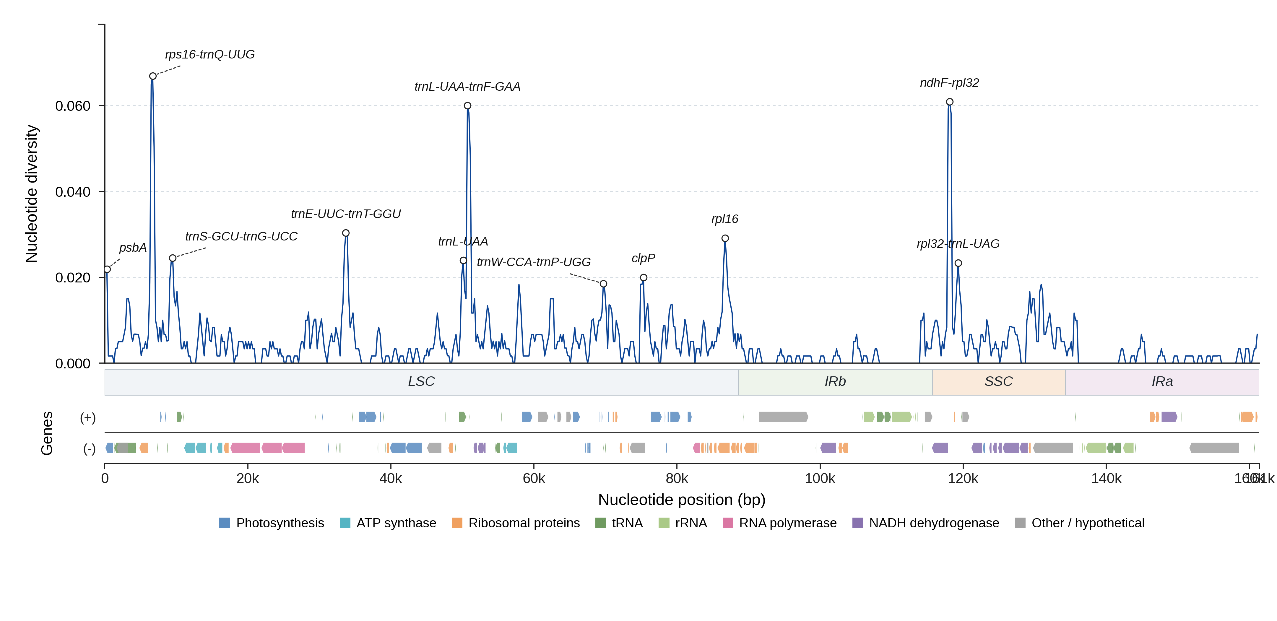 Sliding-window nucleotide diversity