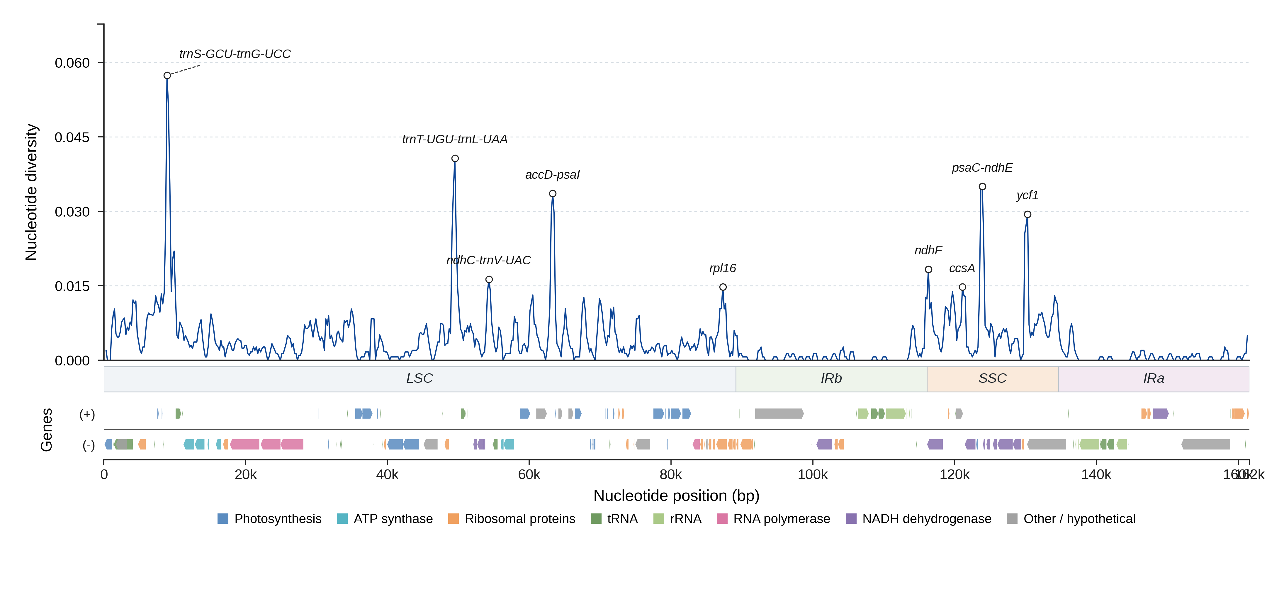Sliding-window nucleotide diversity