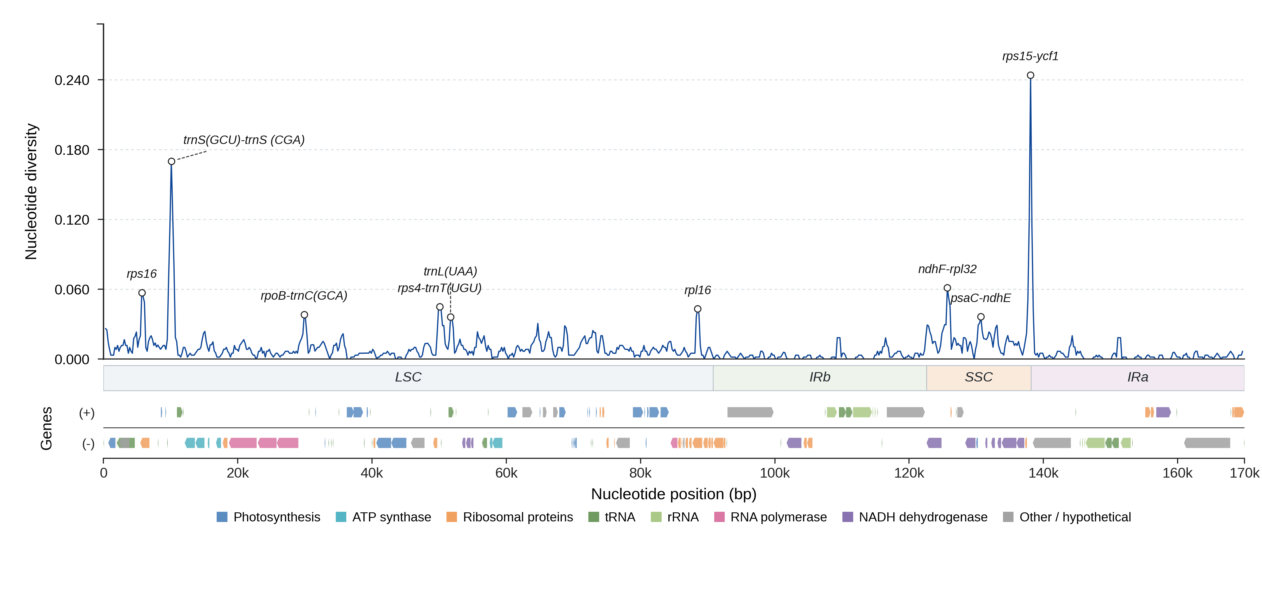 Sliding-window nucleotide diversity