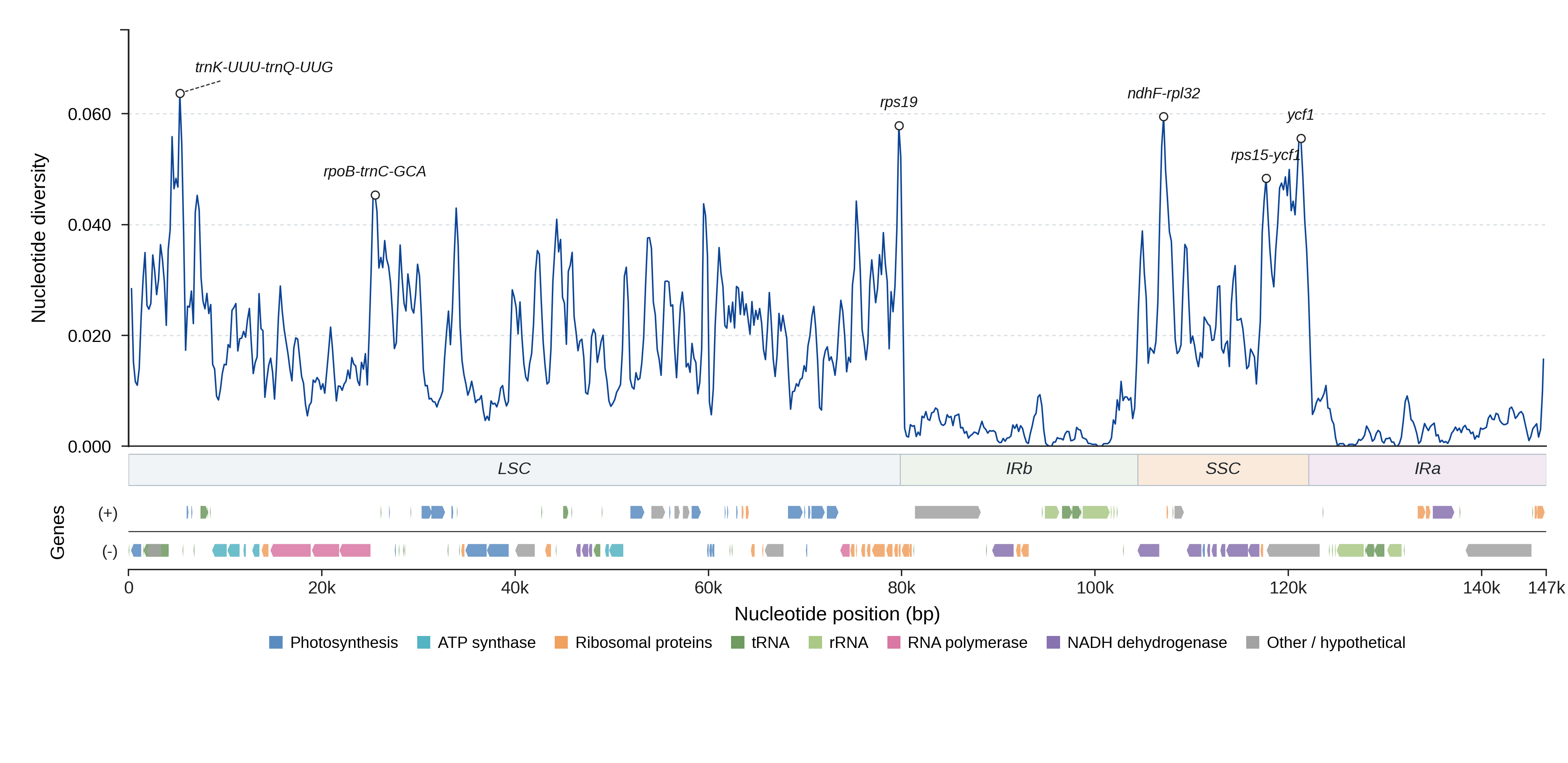 Sliding-window nucleotide diversity