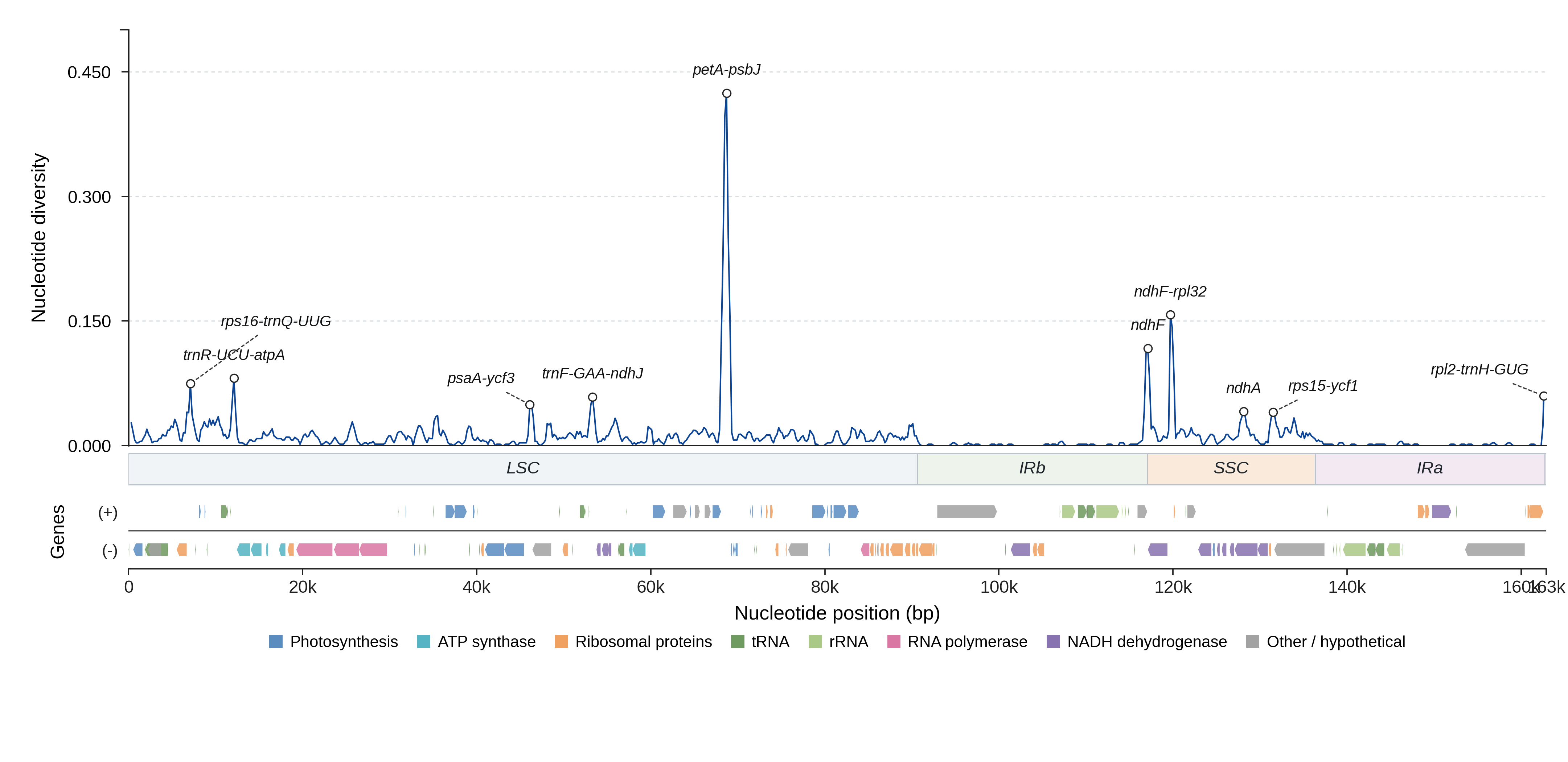 Sliding-window nucleotide diversity