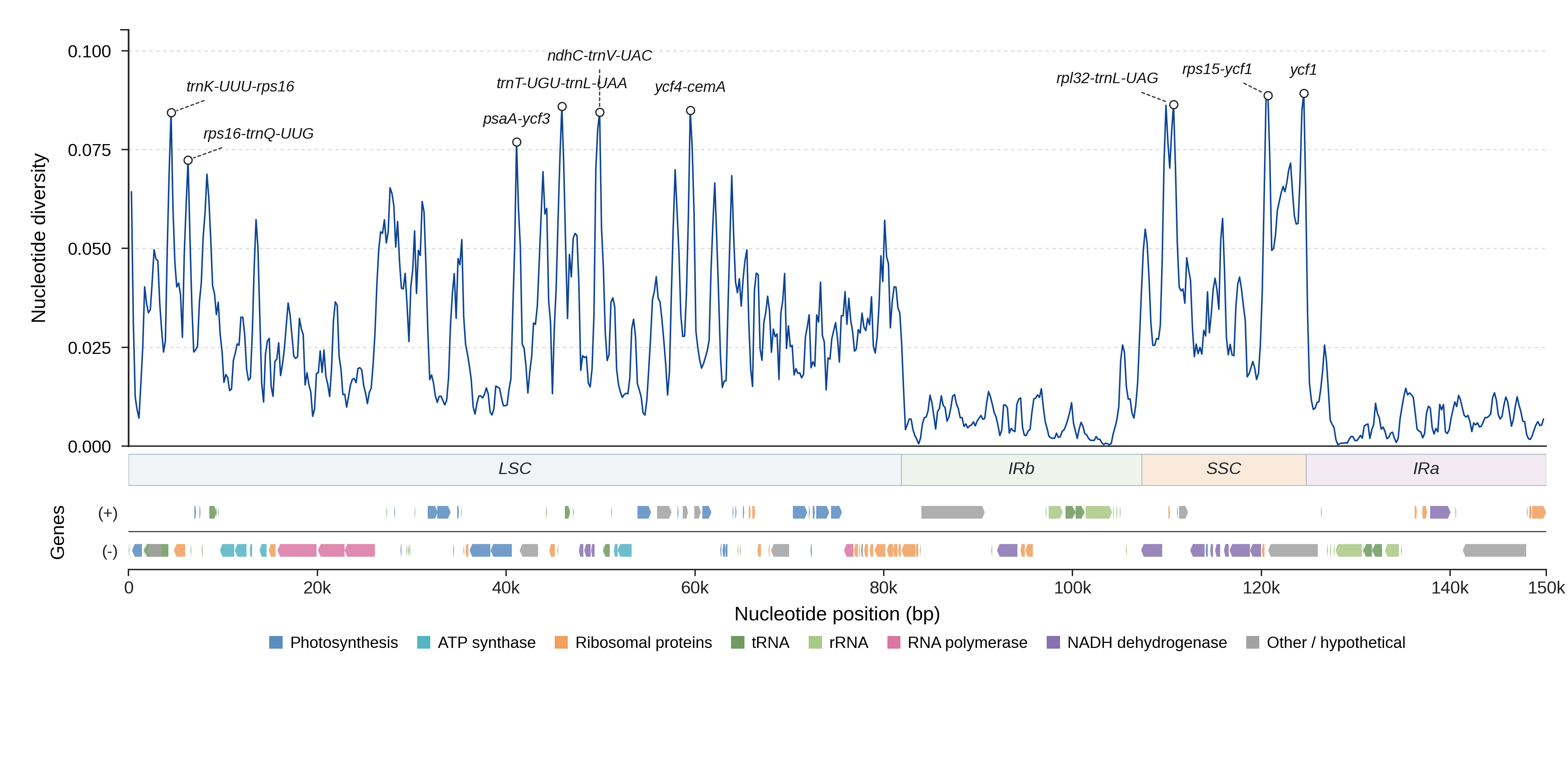 Sliding-window nucleotide diversity