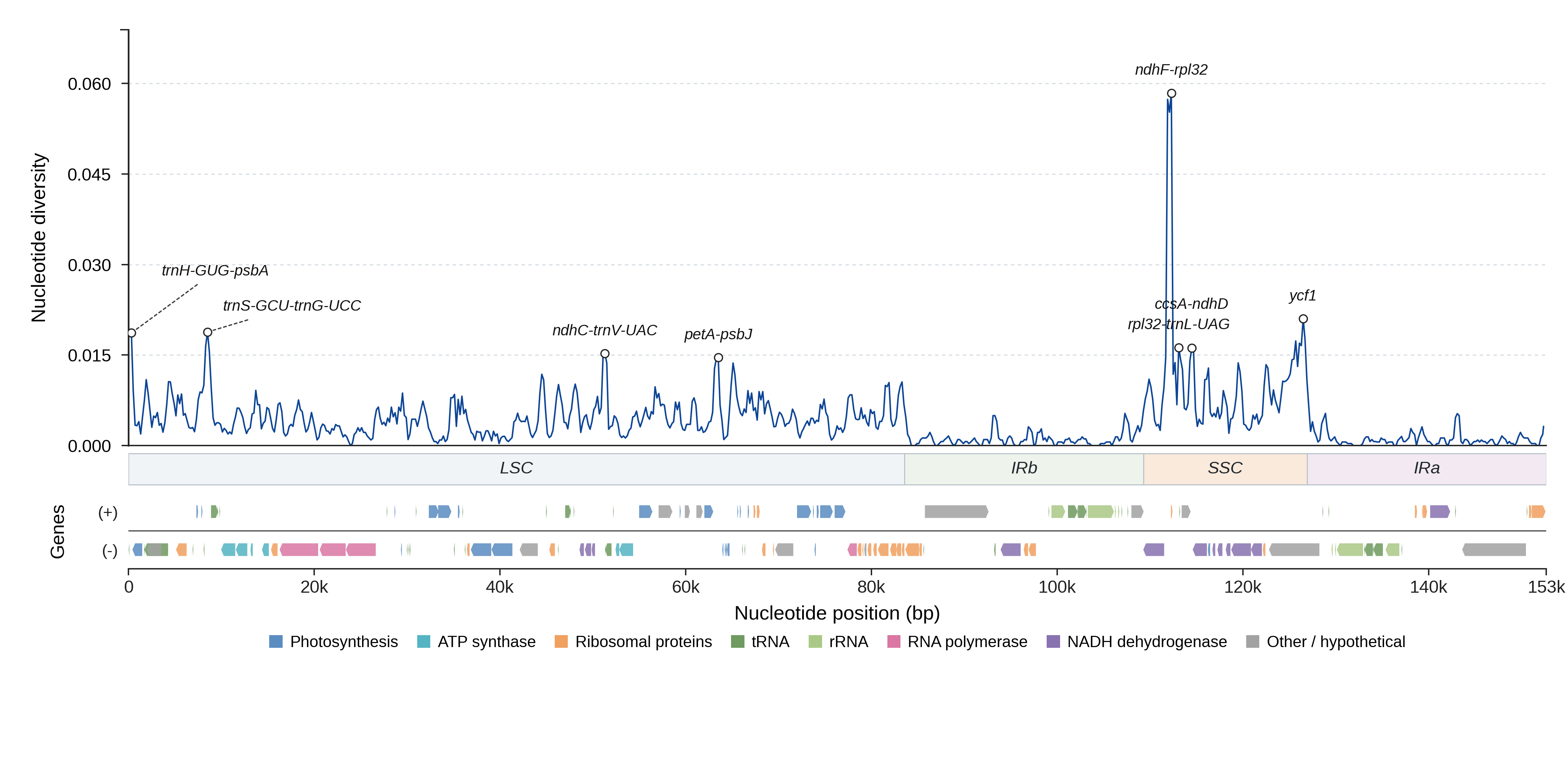Sliding-window nucleotide diversity