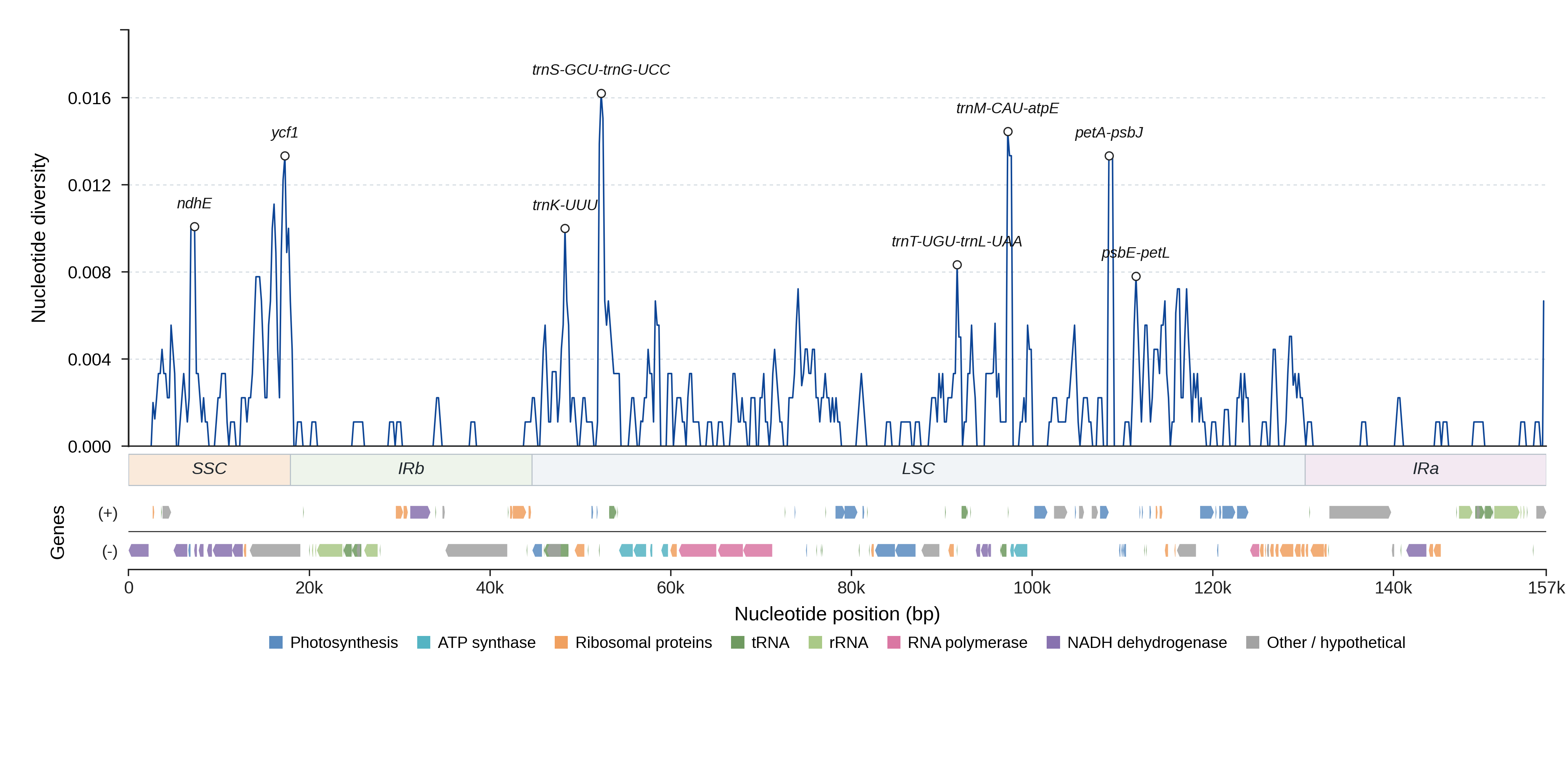 Sliding-window nucleotide diversity
