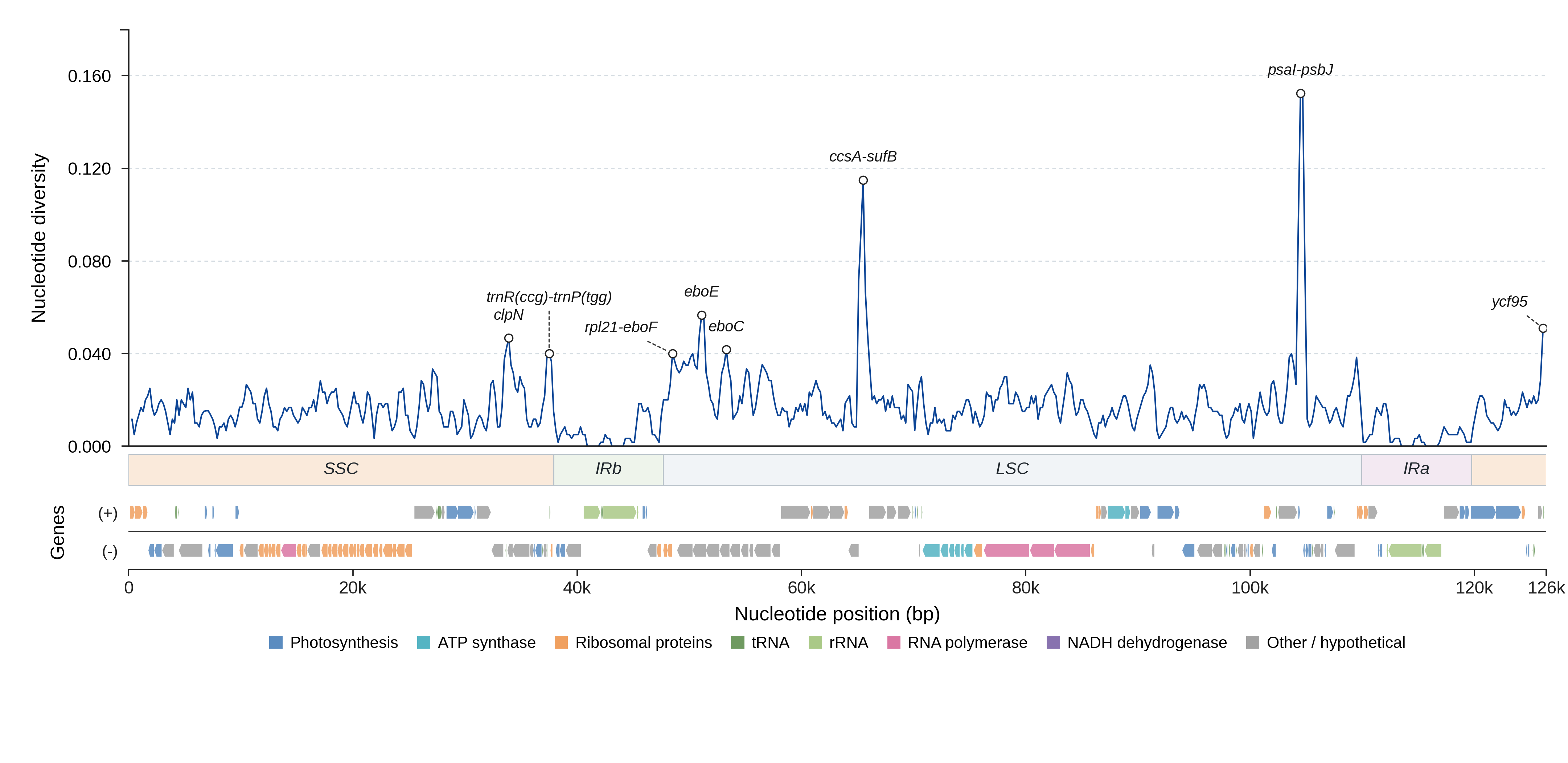 Sliding-window nucleotide diversity