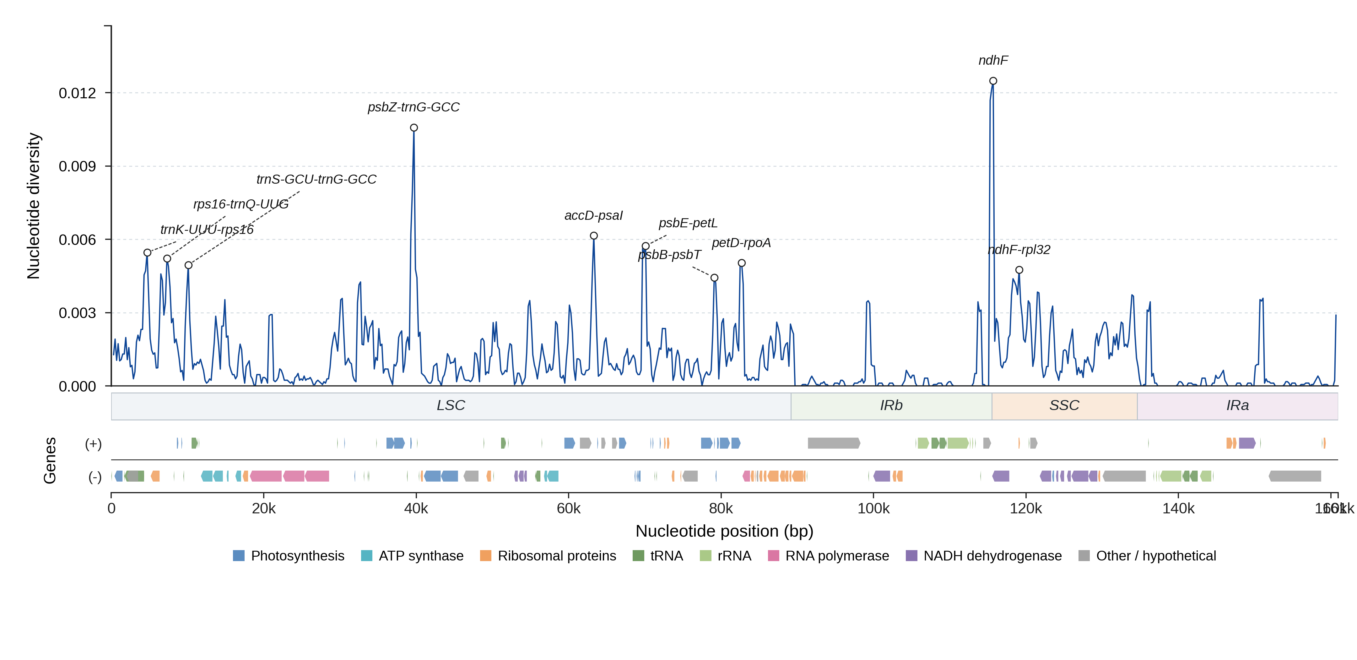 Sliding-window nucleotide diversity