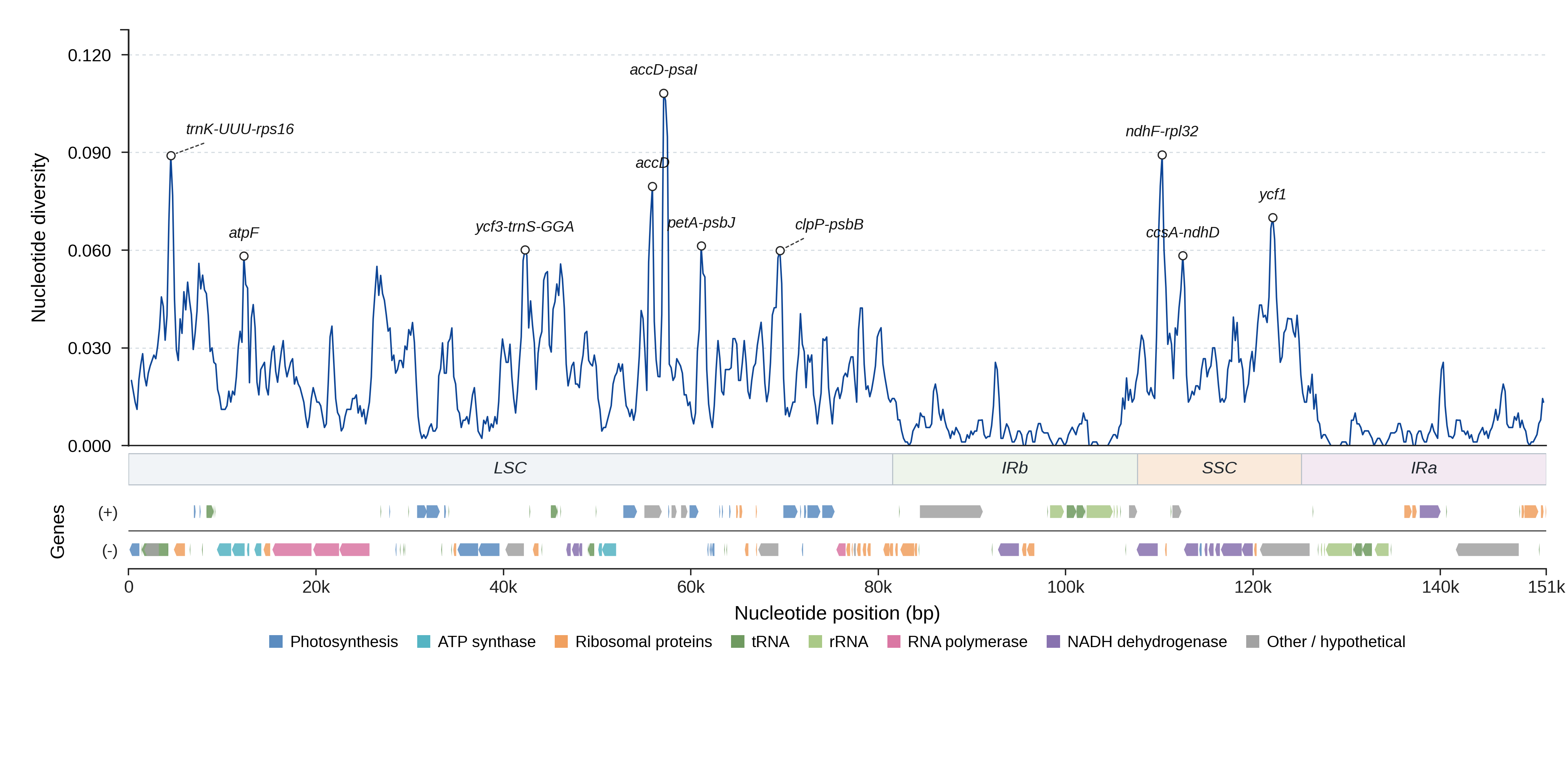 Sliding-window nucleotide diversity