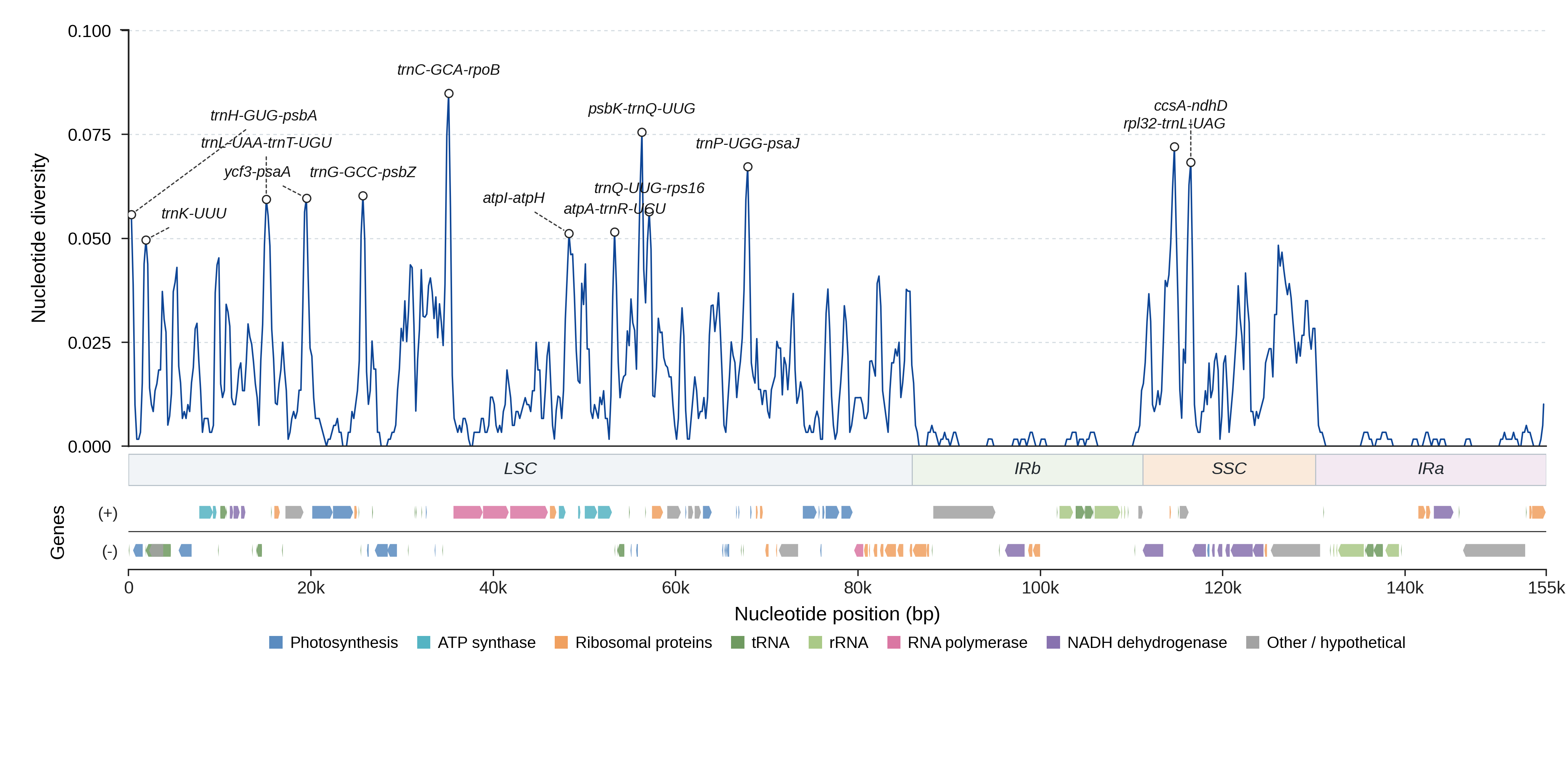 Sliding-window nucleotide diversity