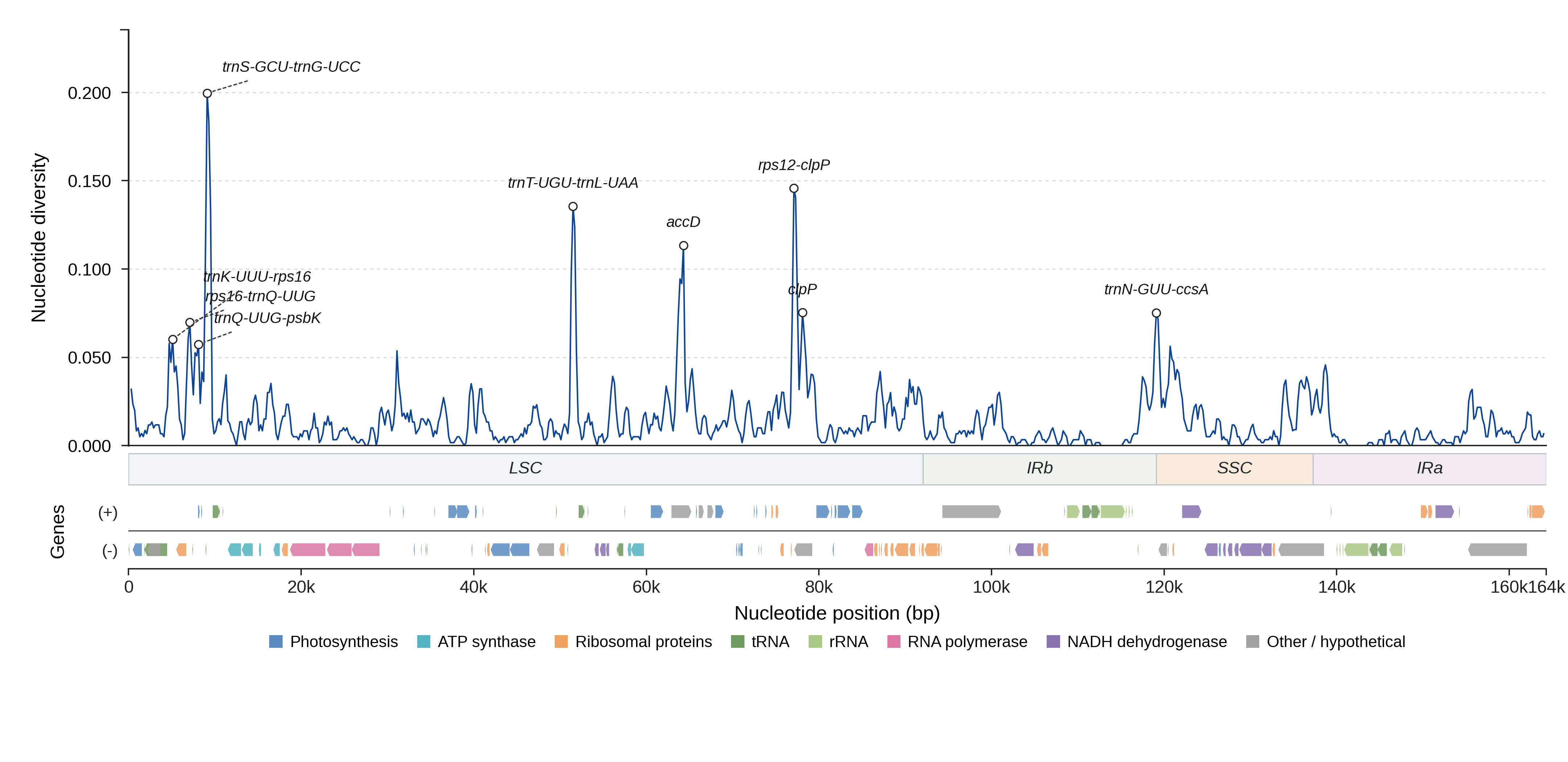 Sliding-window nucleotide diversity